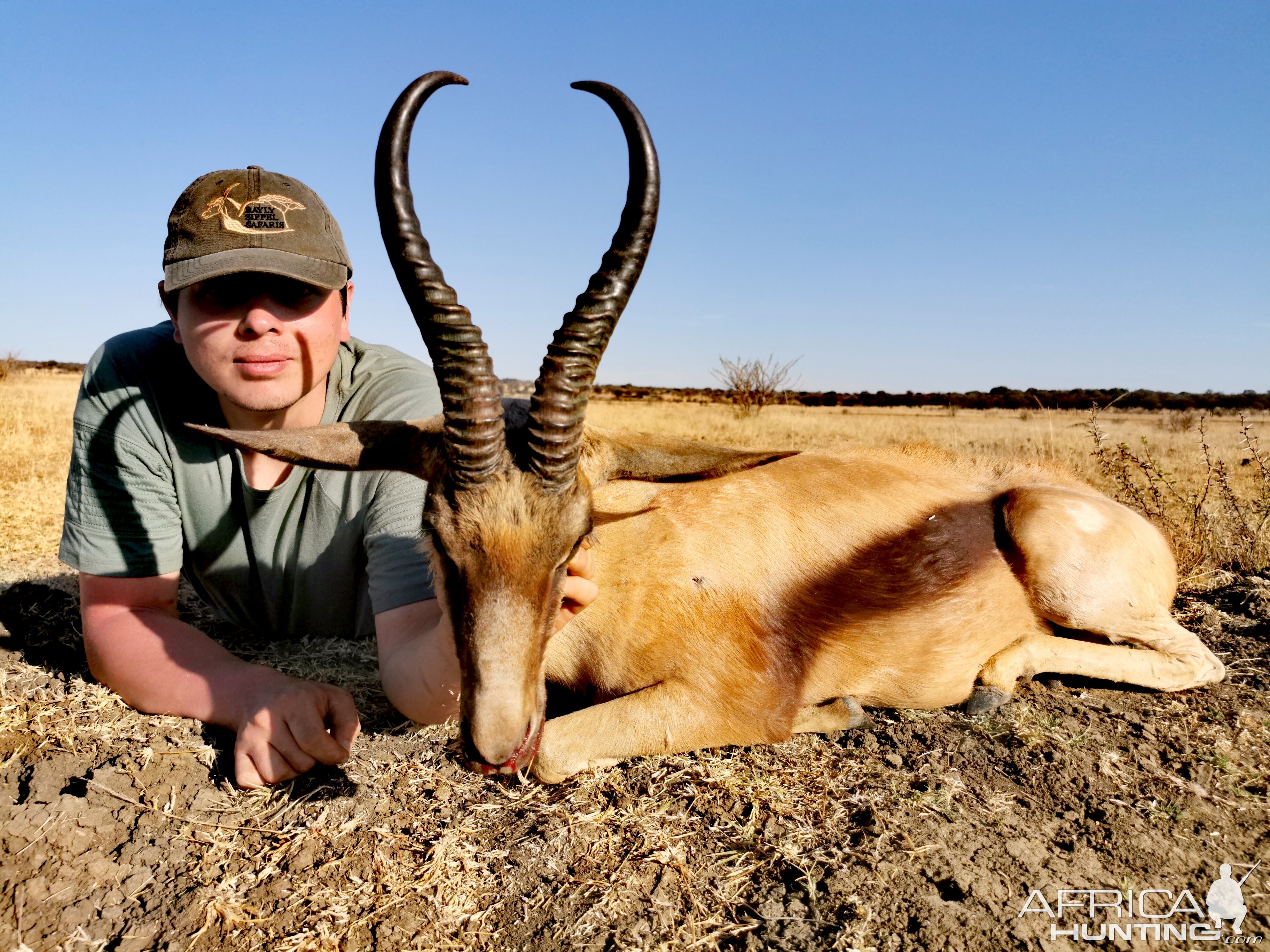 South Africa Hunt Copper Springbok