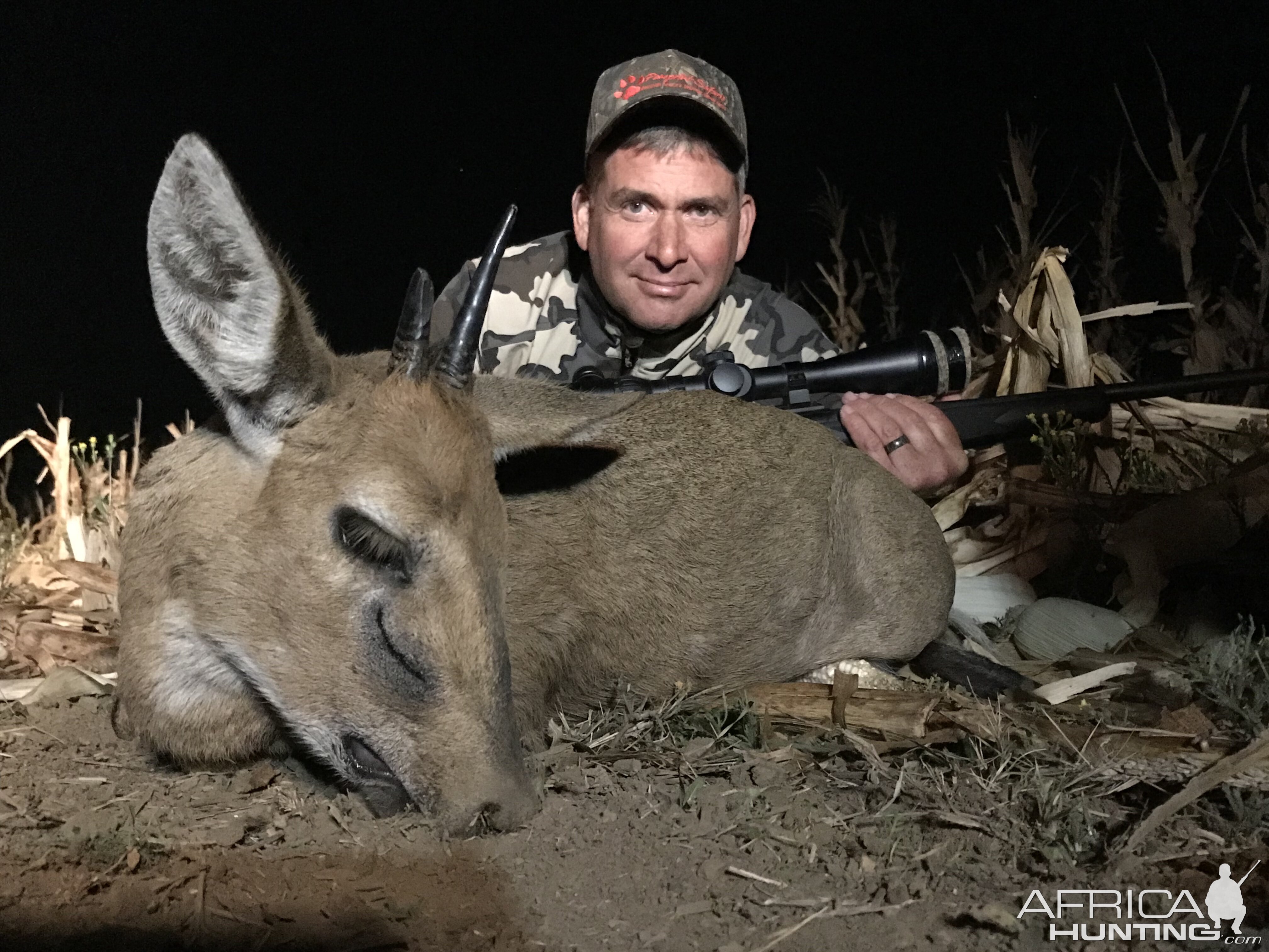 South Africa Hunt  Duiker