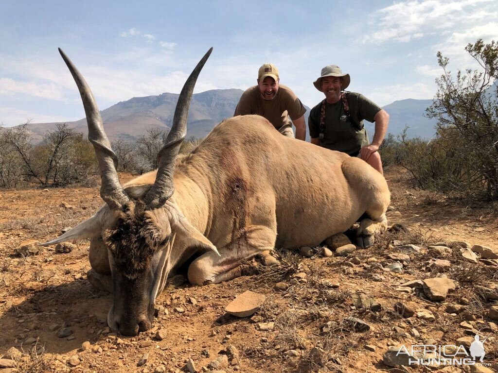 South Africa Hunt Eland