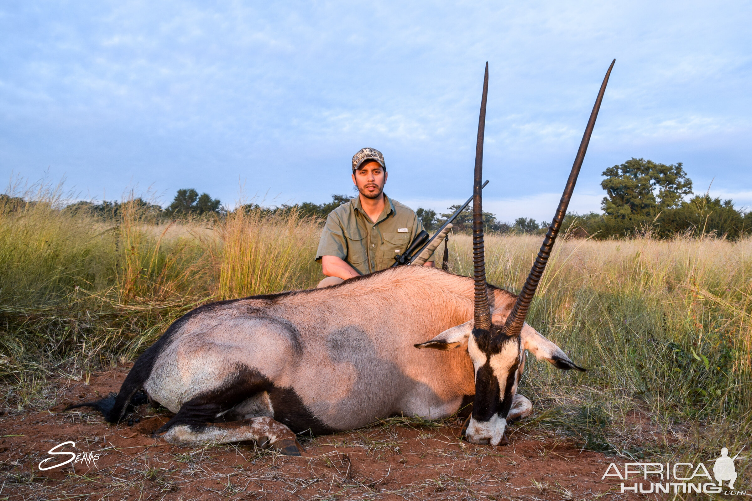 South Africa Hunt Gemsbok