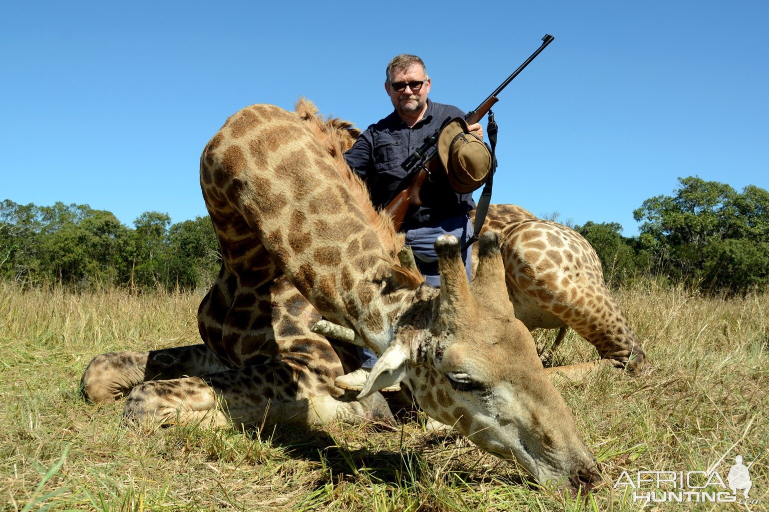 South Africa Hunt Giraffe