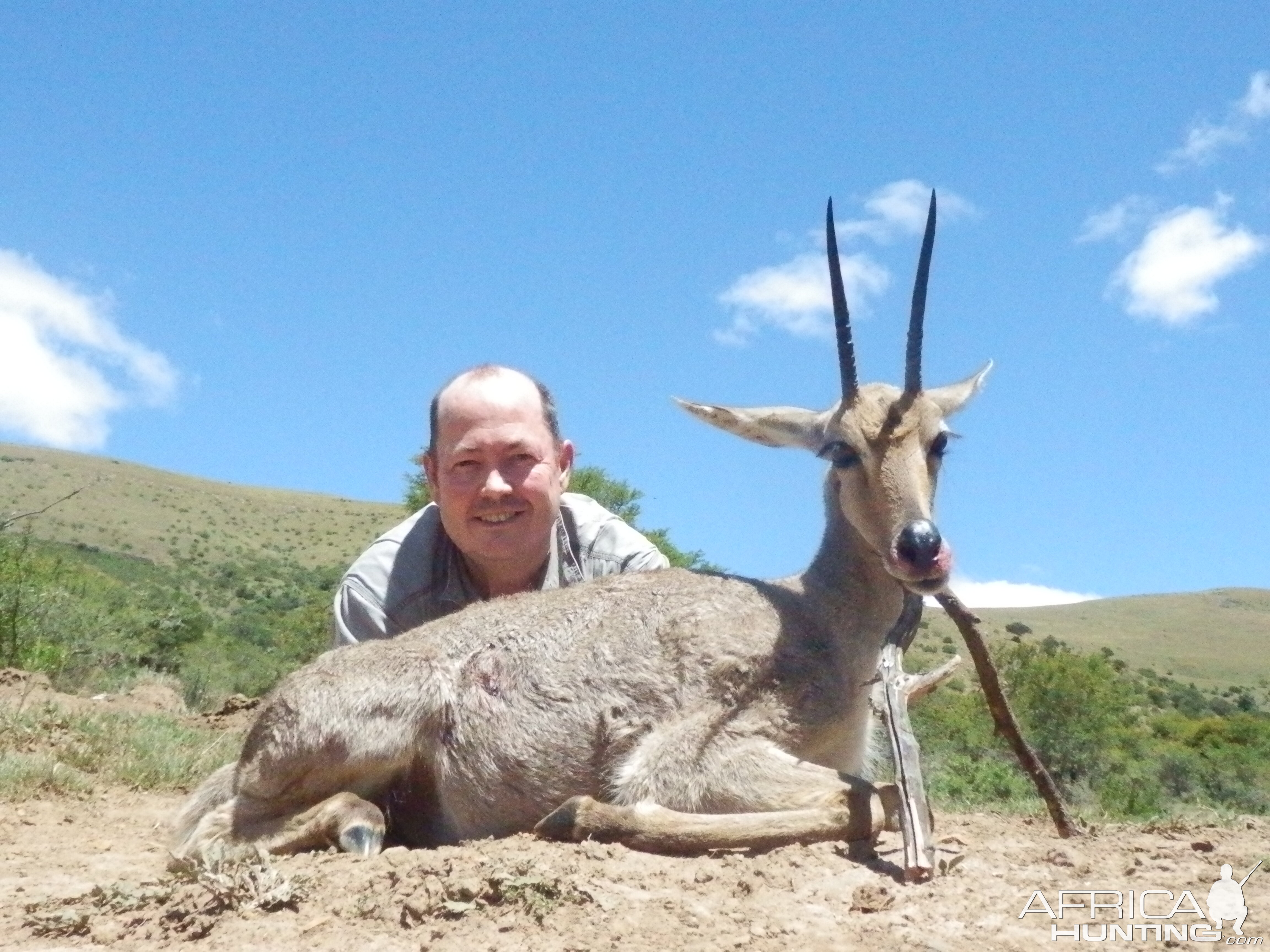 South Africa Hunt Grey Rhebok