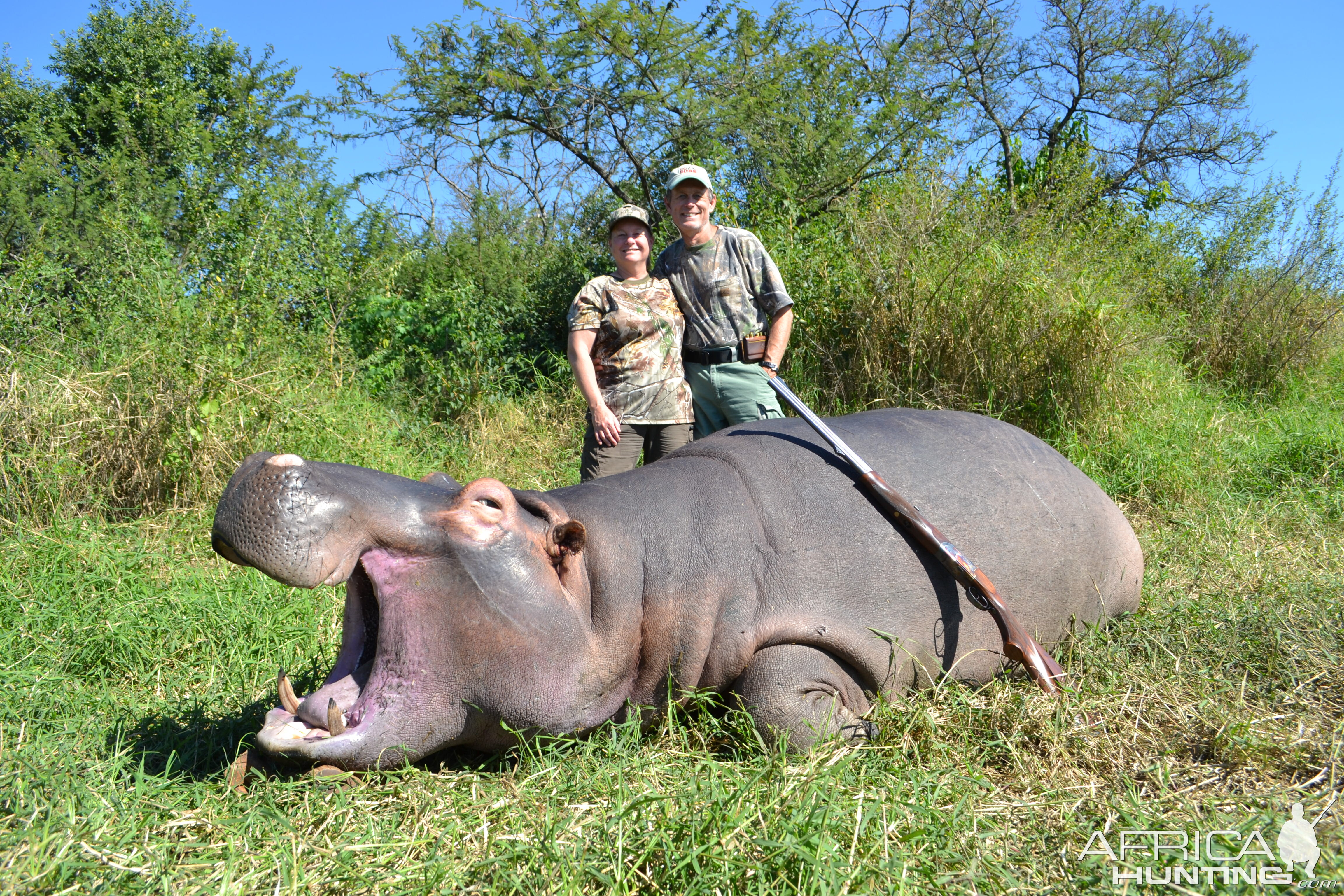 South Africa Hunt Hippo