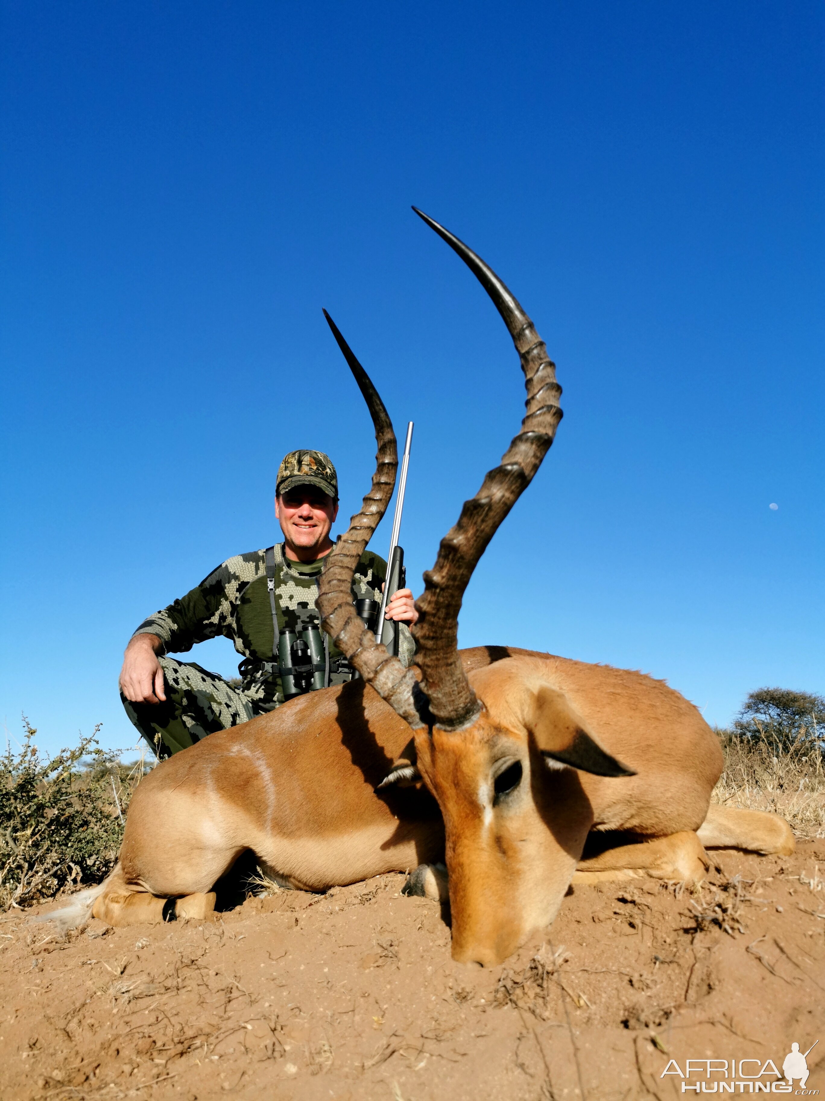 South Africa Hunt Impala