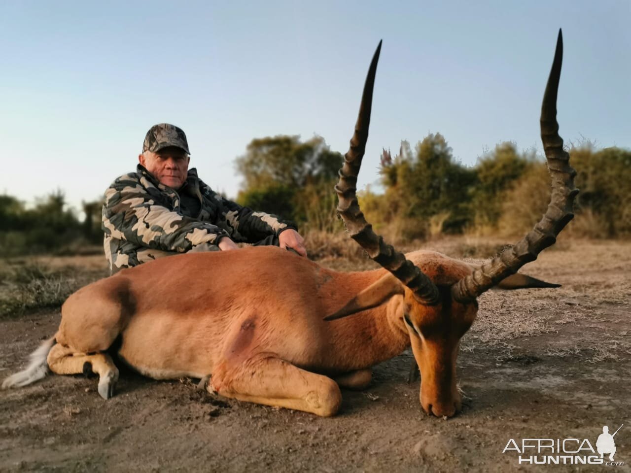 South Africa Hunt Impala