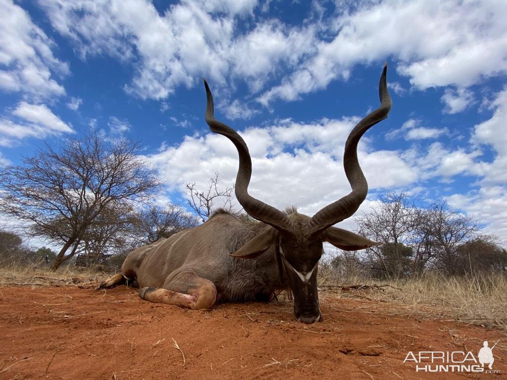 South Africa Hunt Kudu