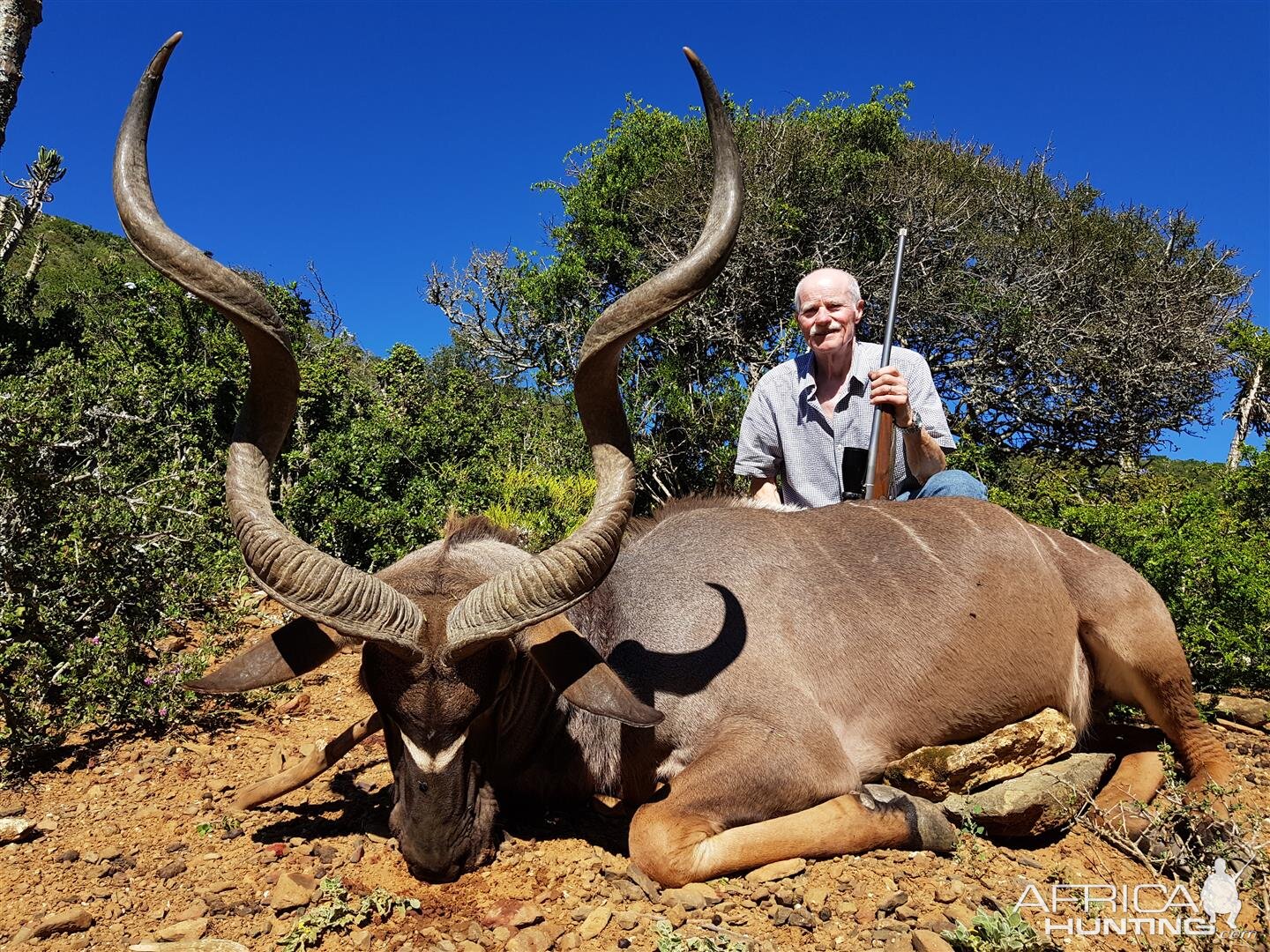 South Africa Hunt Kudu