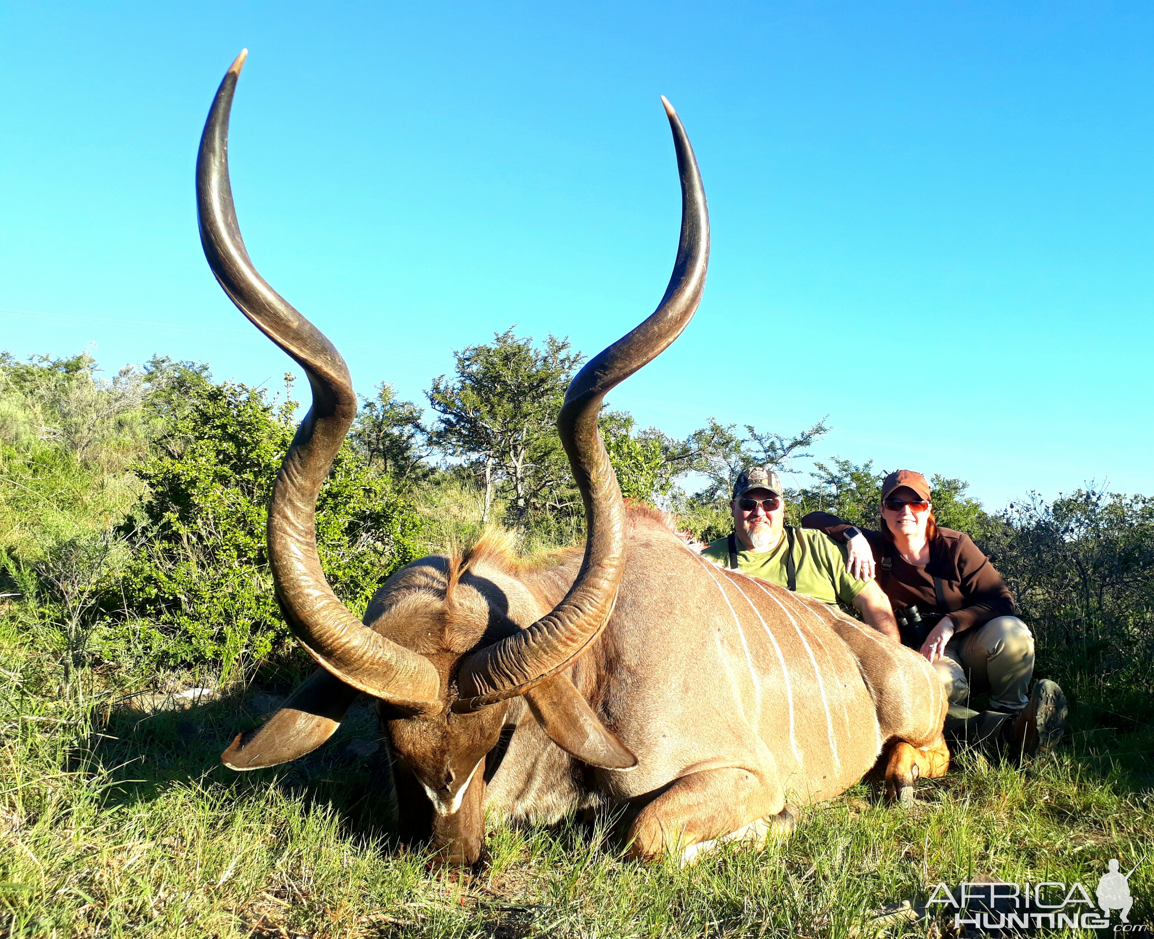 South Africa Hunt Kudu