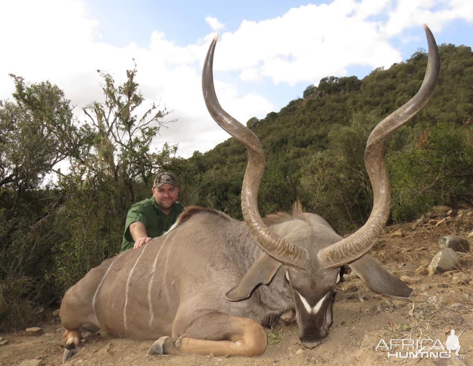 South Africa Hunt Kudu