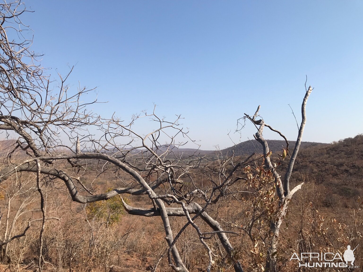 South Africa Hunt Kudu