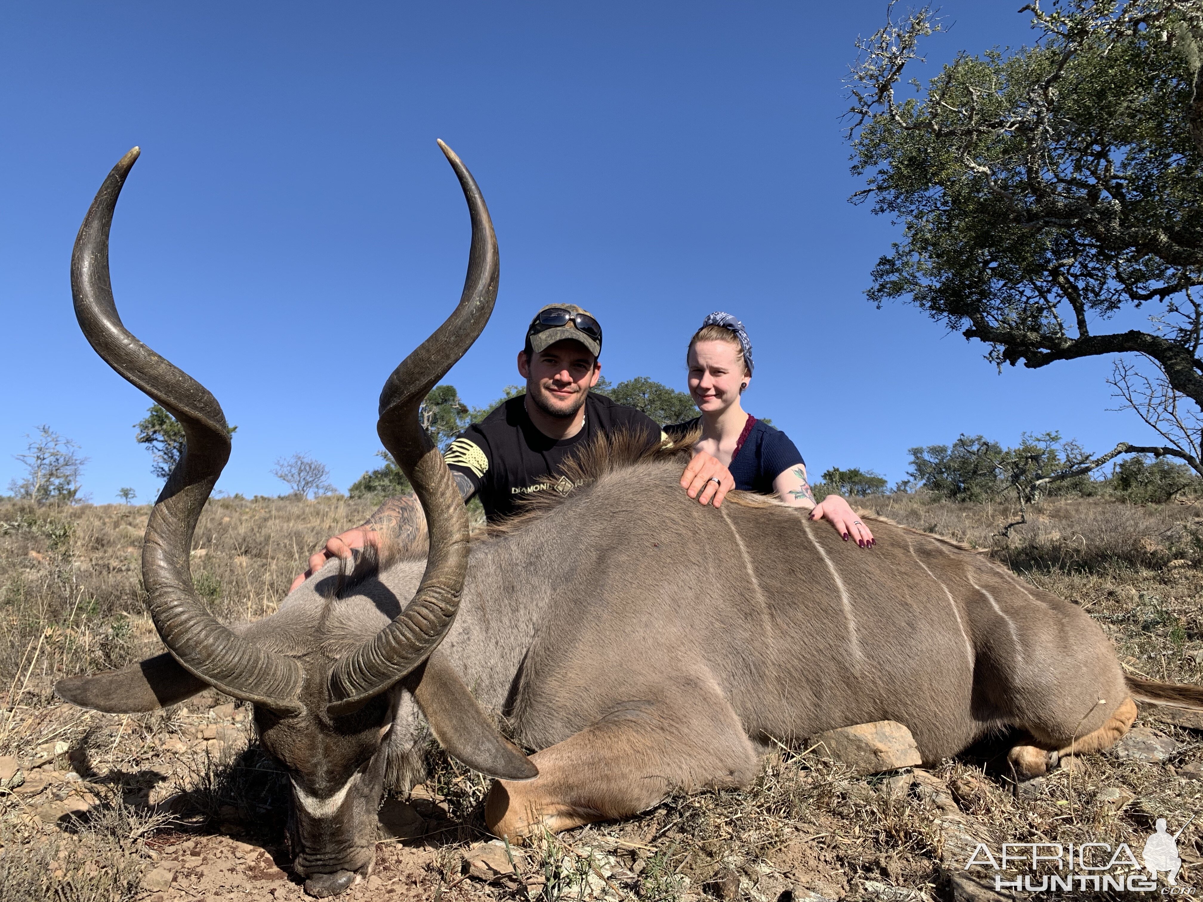 South Africa Hunt Kudu