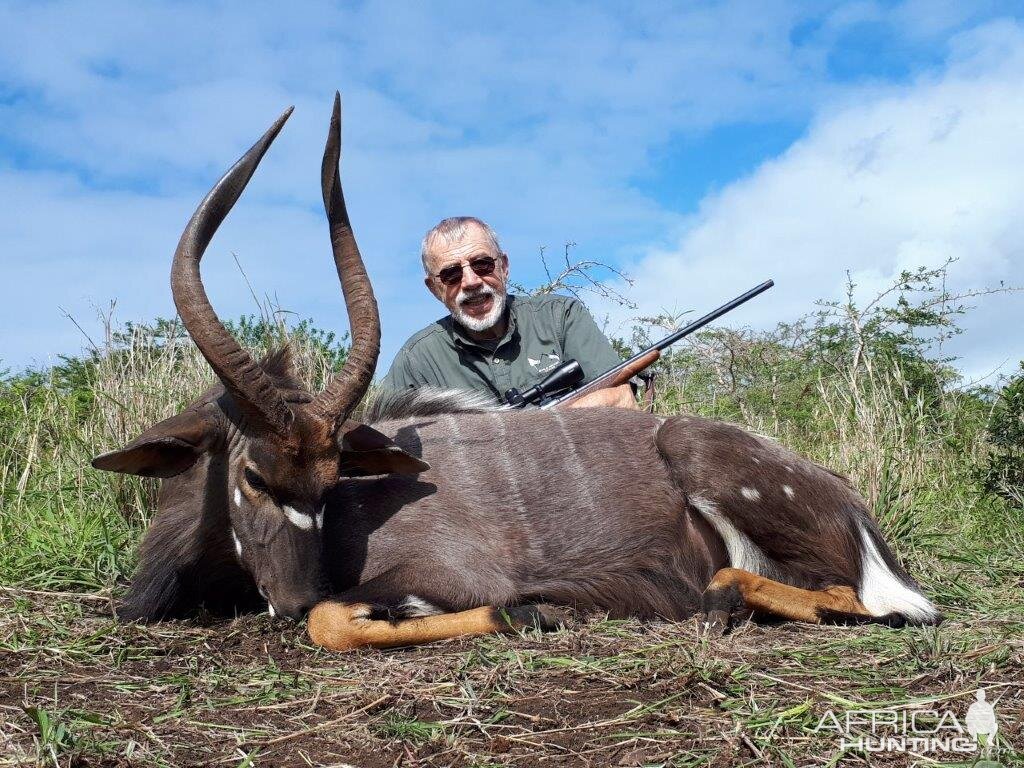 South Africa Hunt Nyala