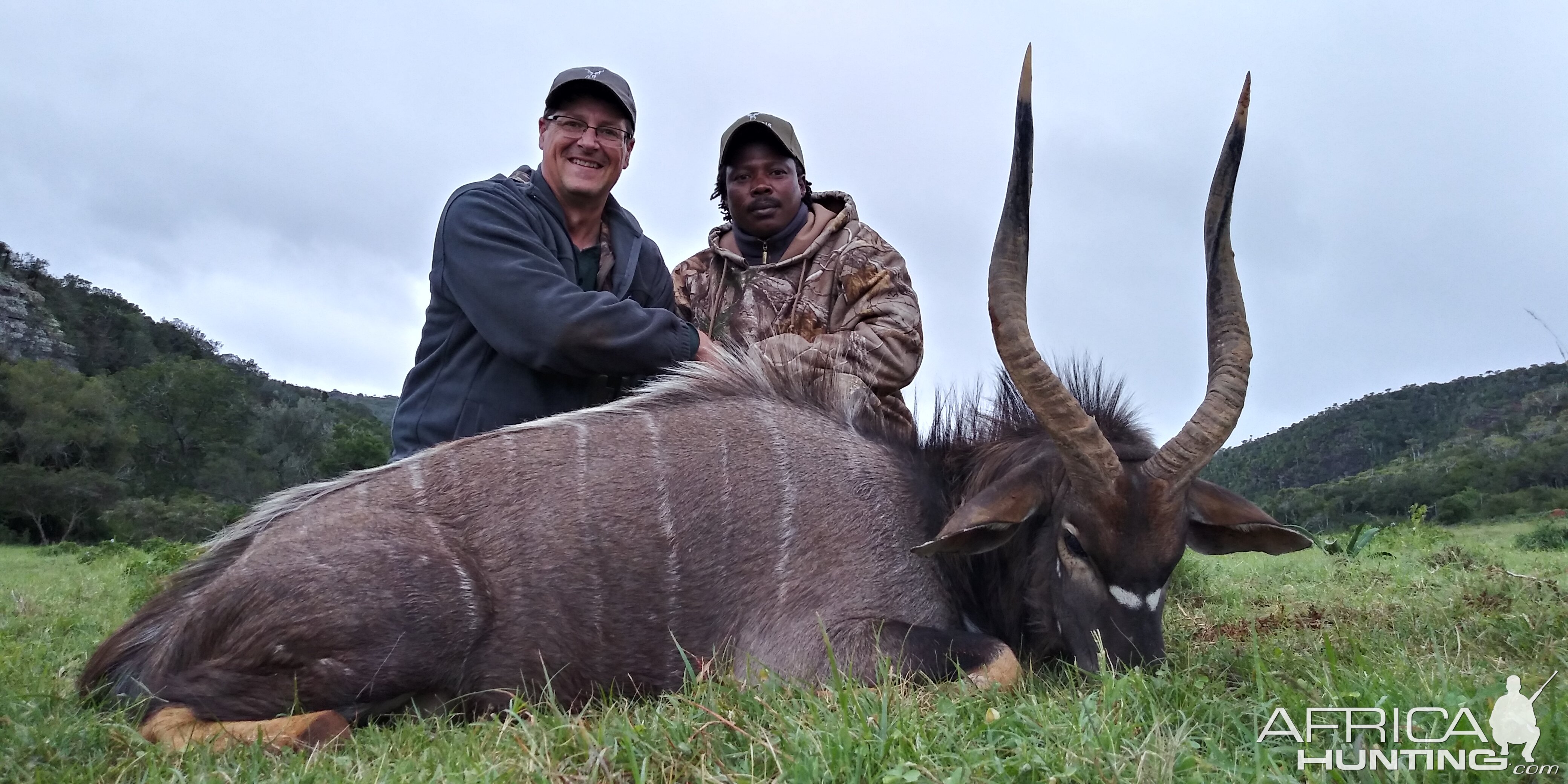 South Africa Hunt Nyala