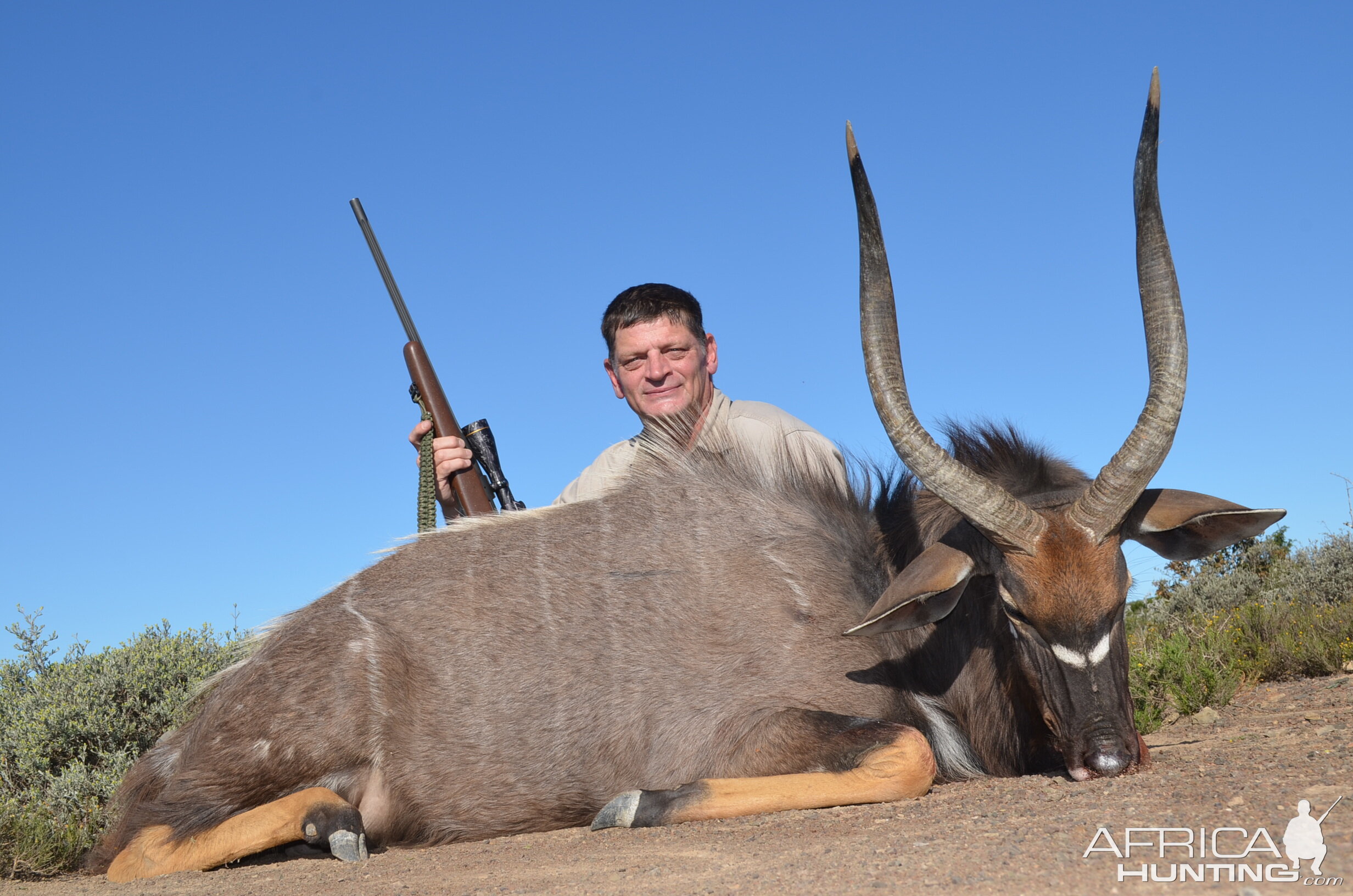 South Africa Hunt Nyala