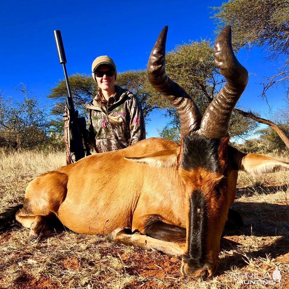 South Africa Hunt Red Hartebeest