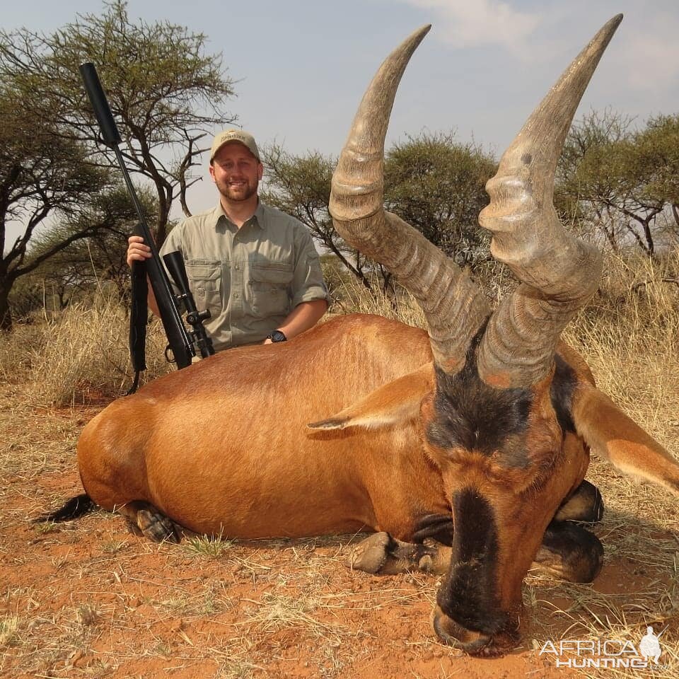 South Africa Hunt Red Hartebeest