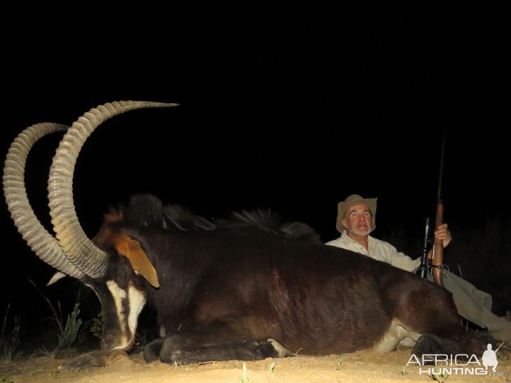 South Africa Hunt Sable Antelope
