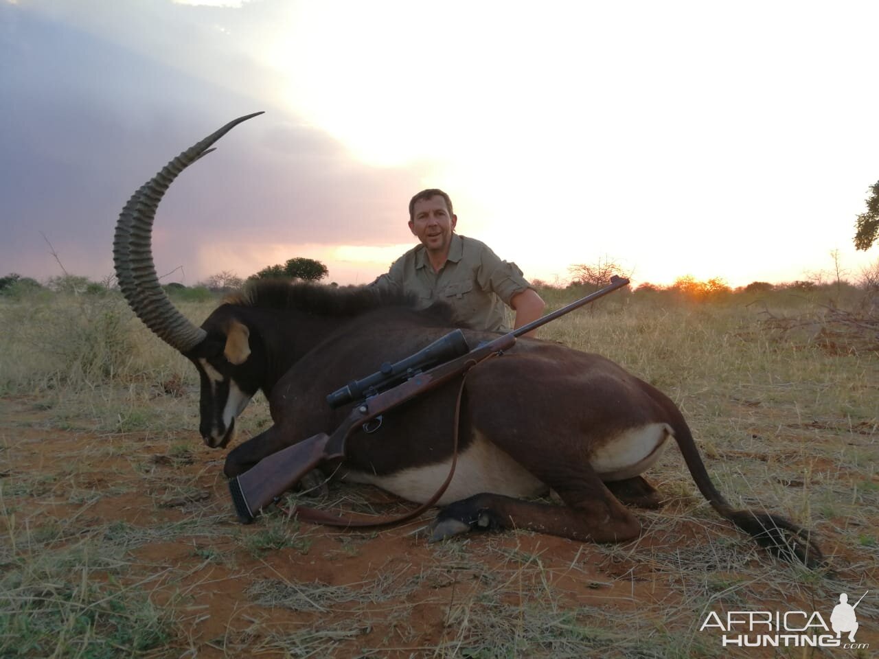 South Africa Hunt Sable Antelope