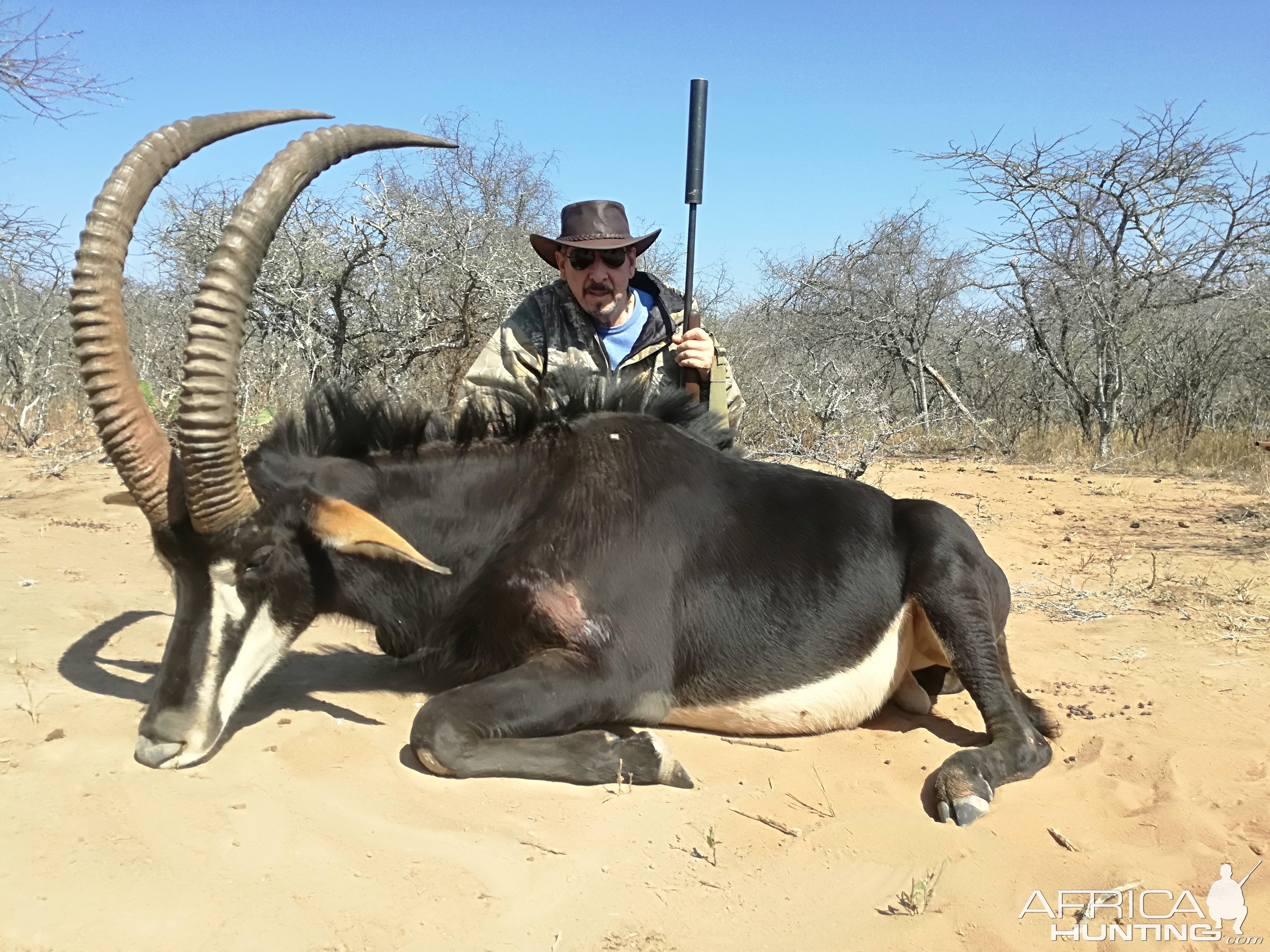 South Africa Hunt Sable Antelope