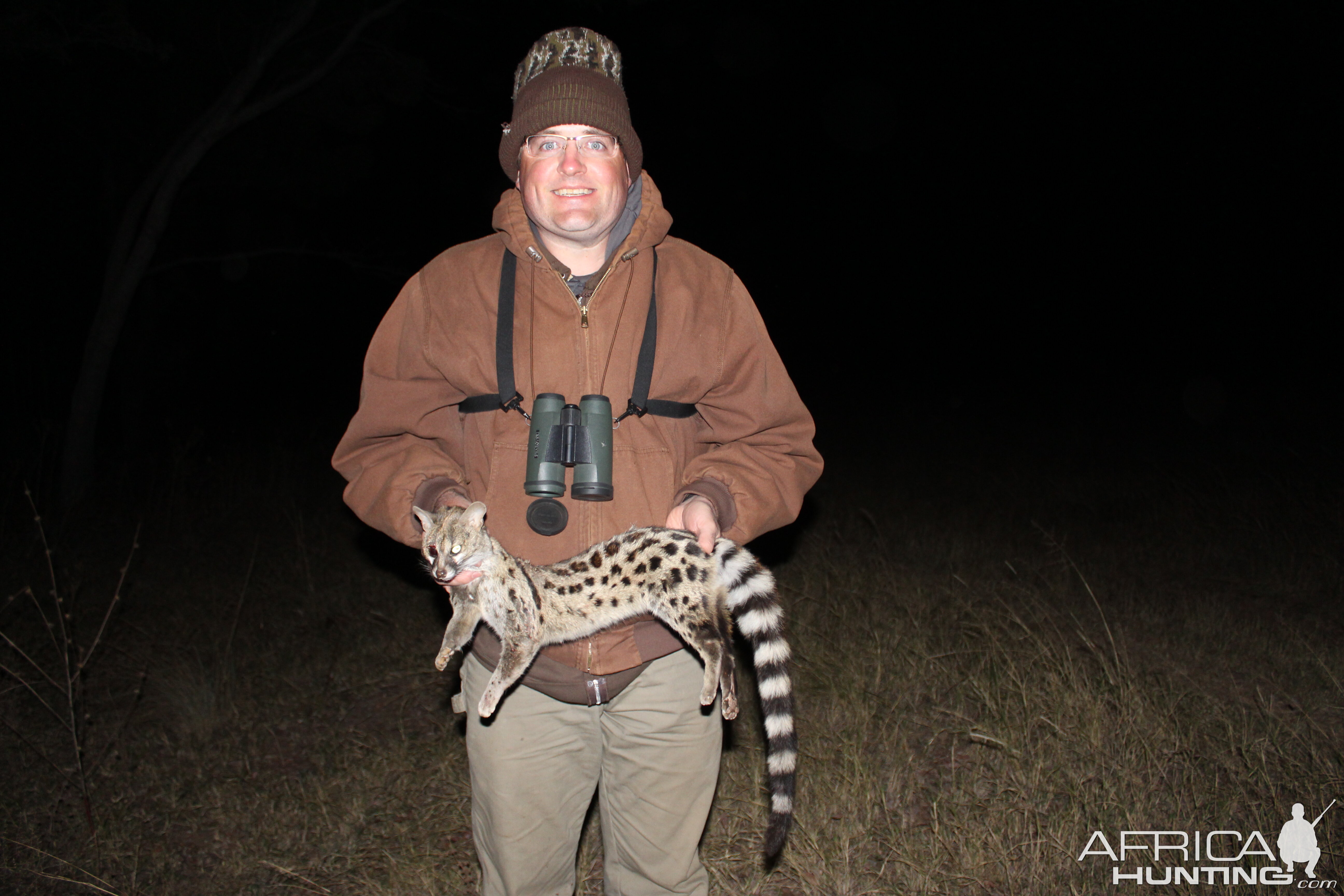 South Africa Hunt Spotted Genet Cat