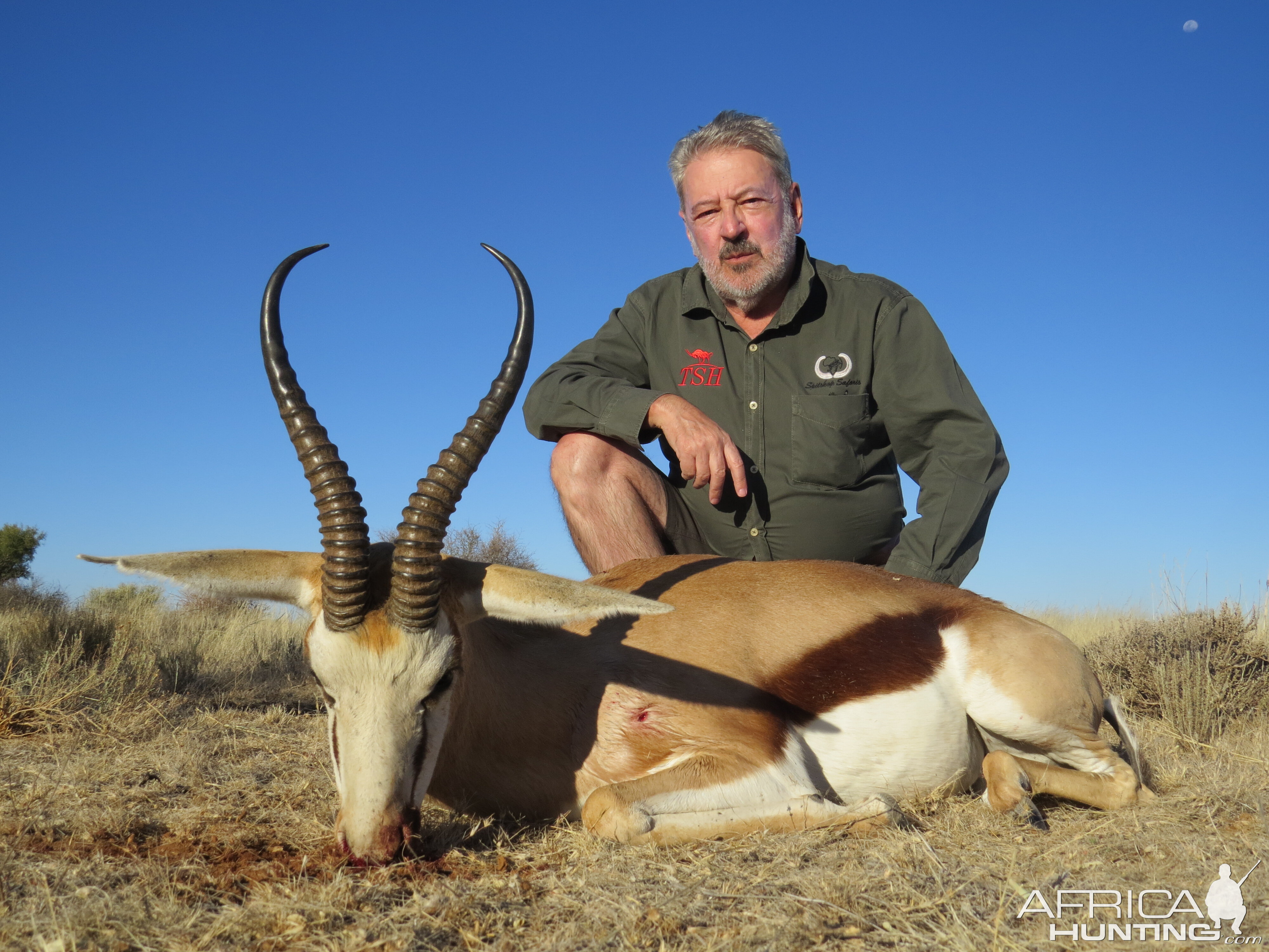 South Africa Hunt Springbok