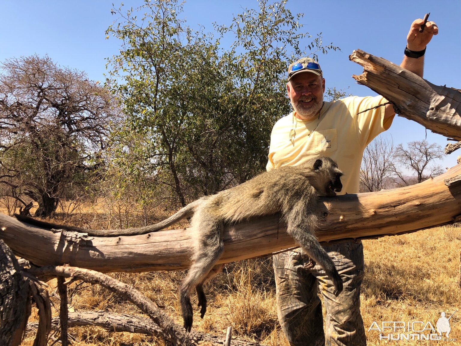 South Africa Hunt Vervet Monkey