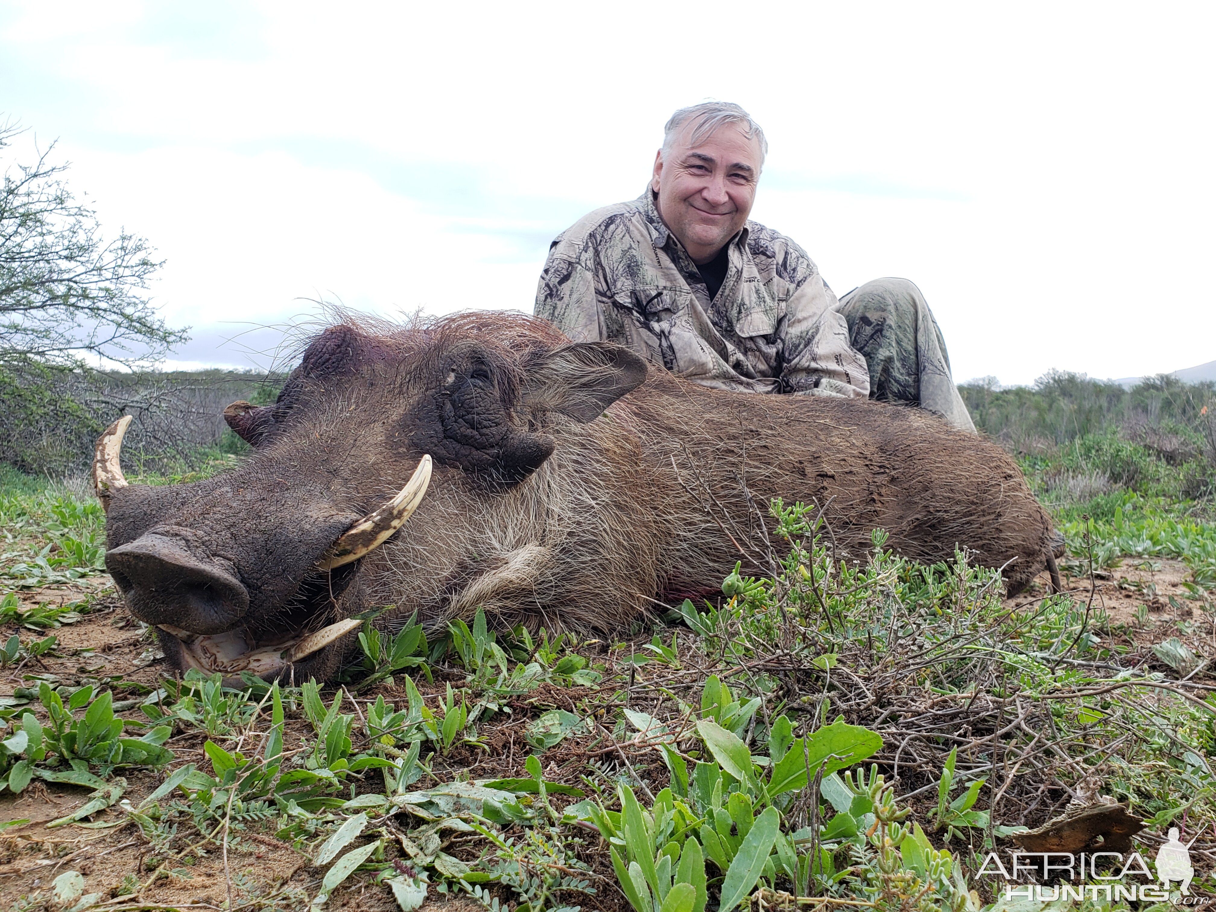 South Africa Hunt Warthog