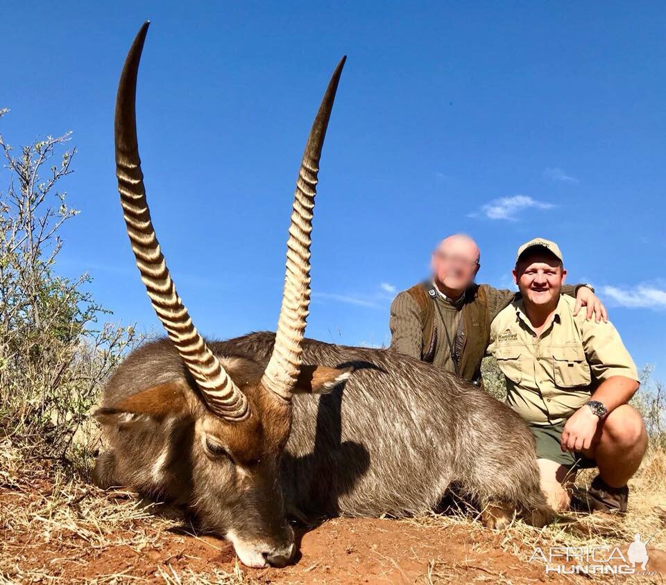 South Africa Hunt Waterbuck