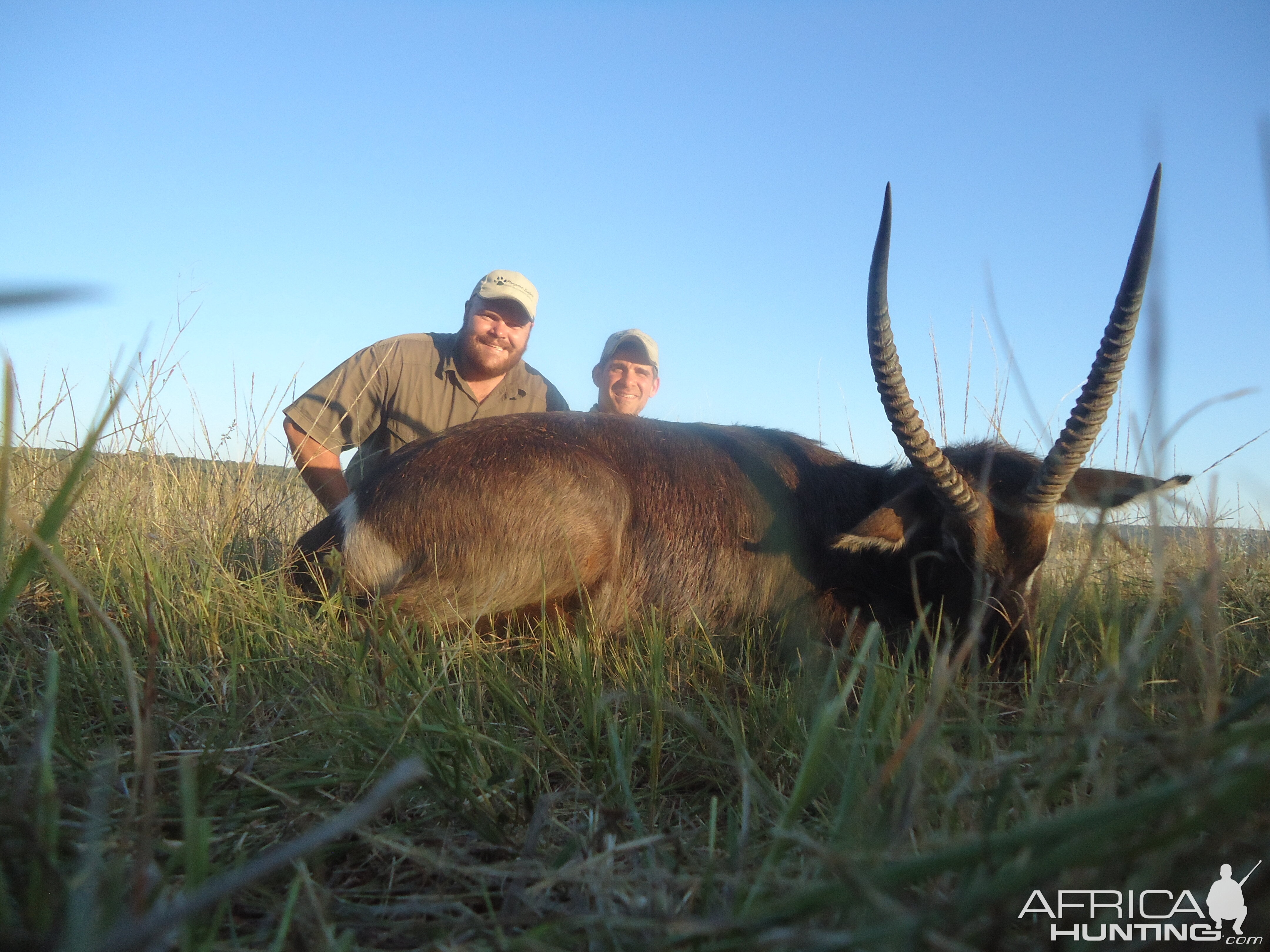 South Africa Hunt Waterbuck