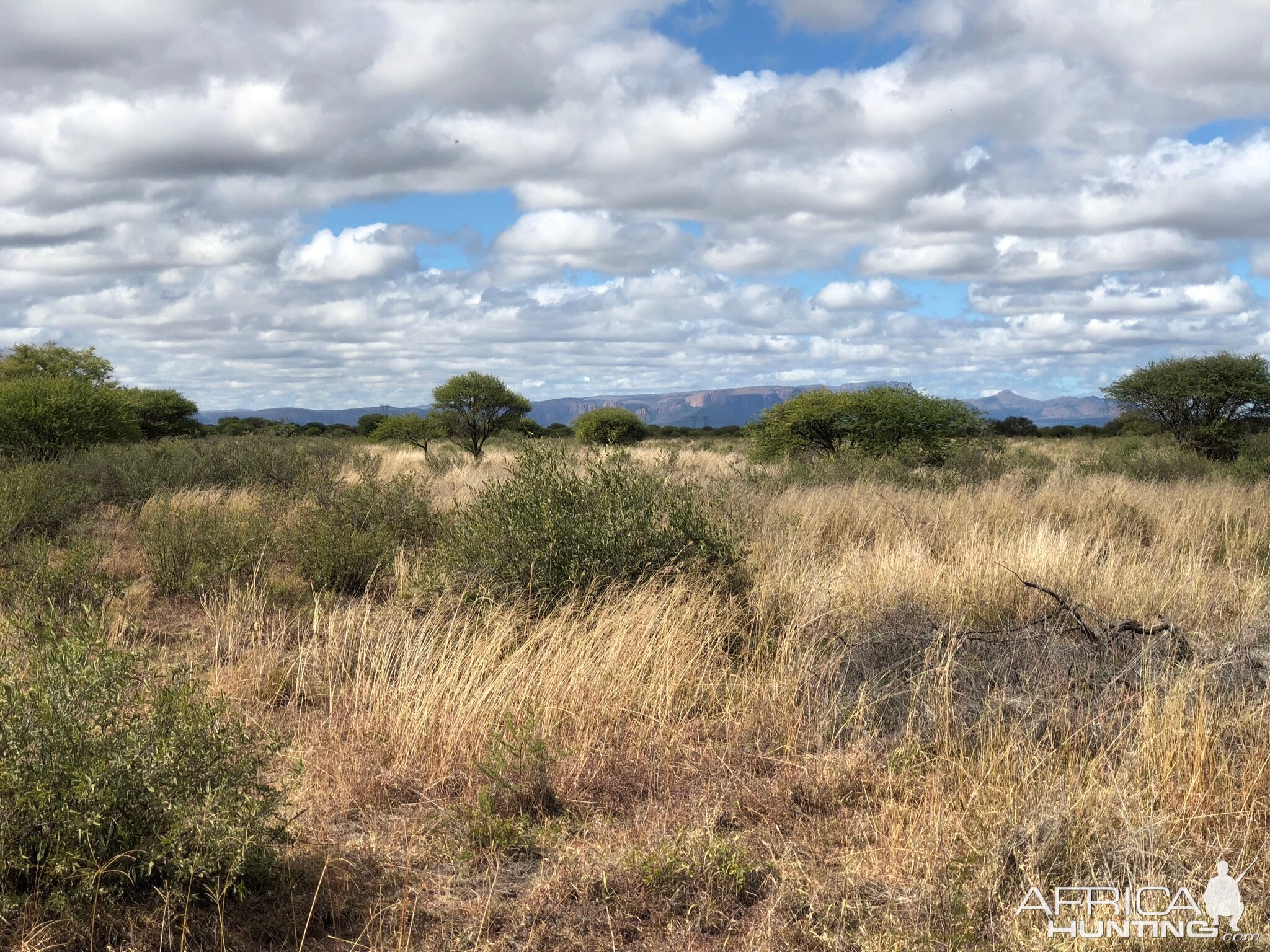 South Africa Hunt