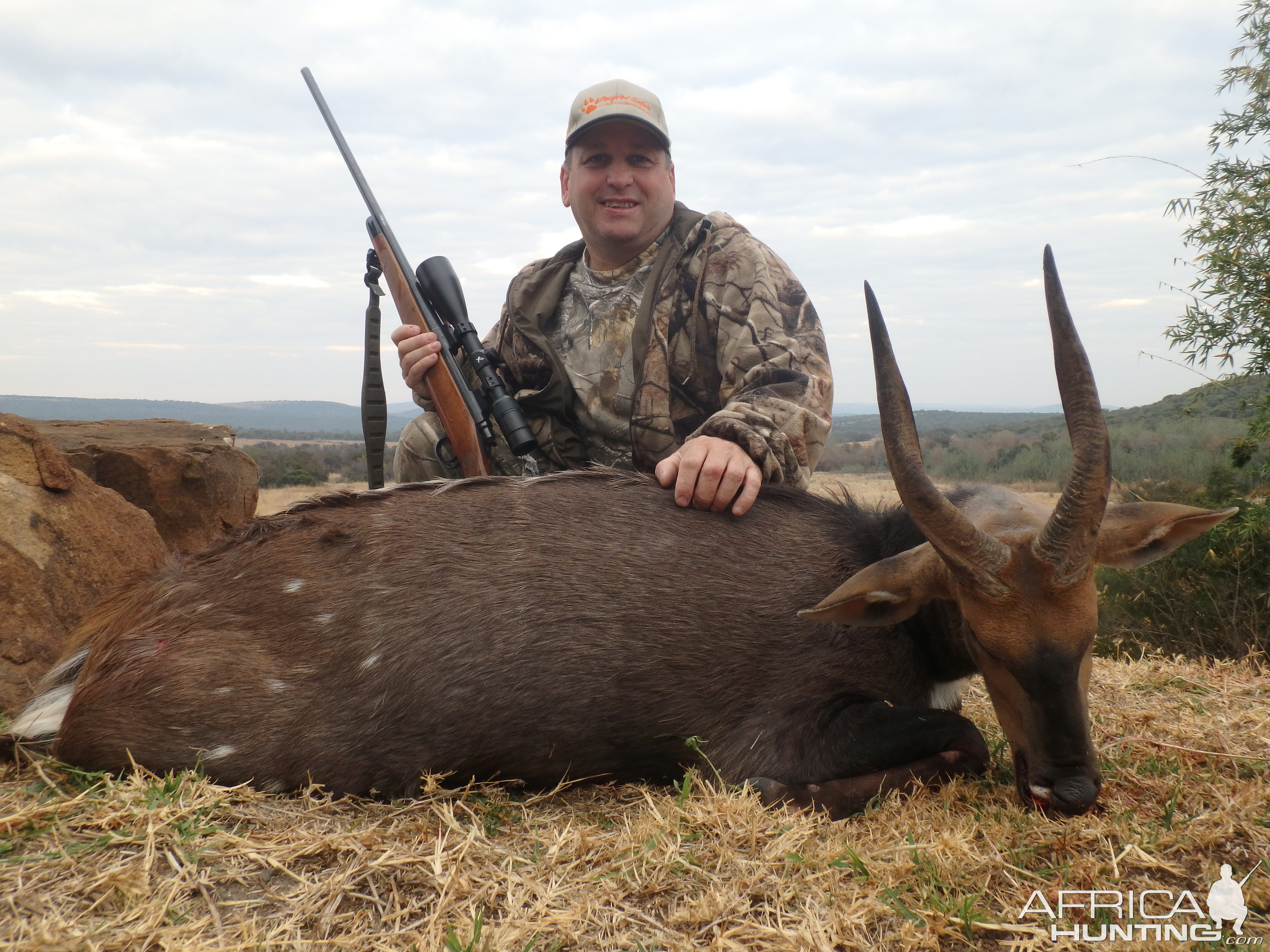 South Africa Hunting 14 1/2" Inch Bushbuck