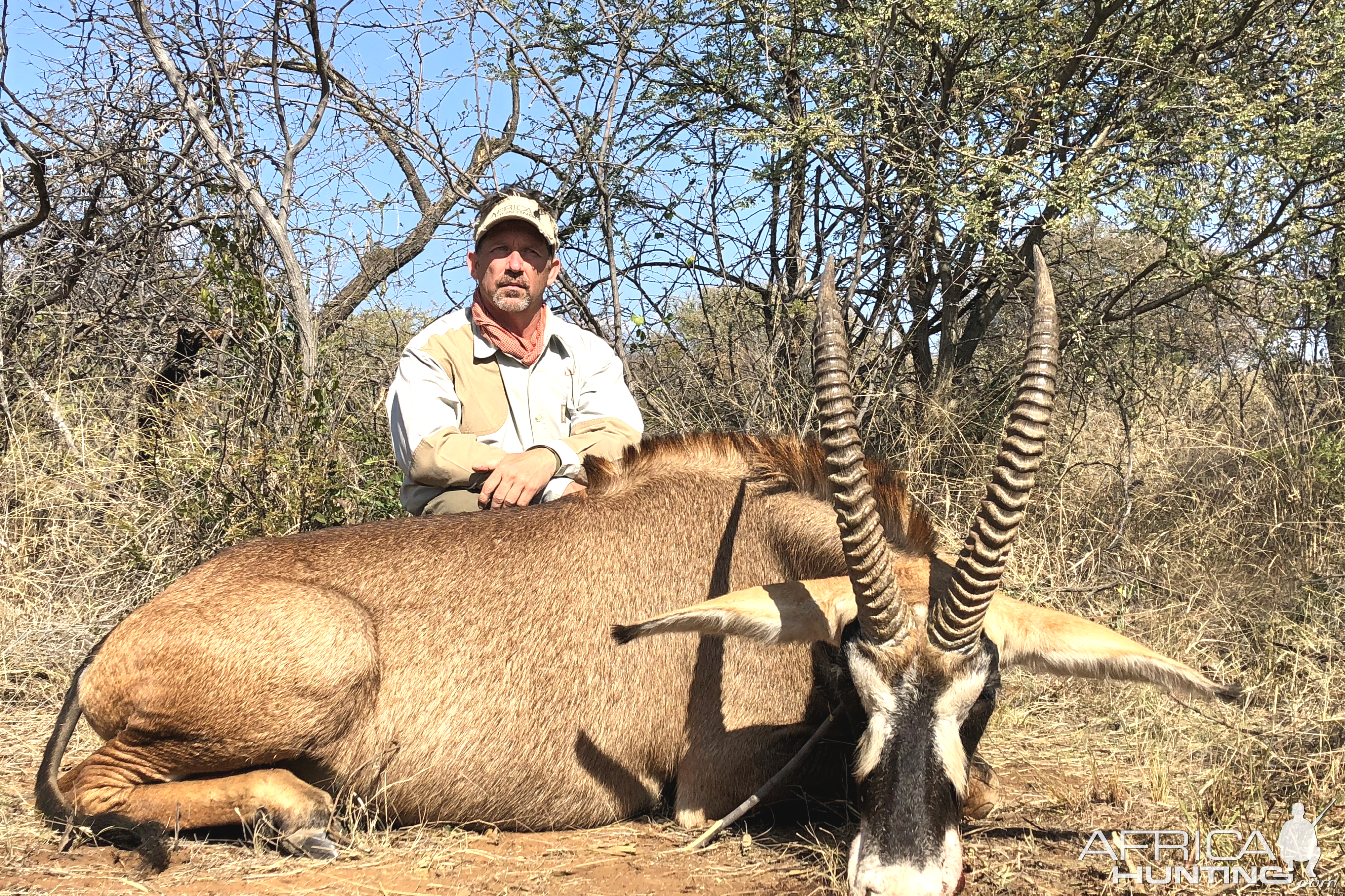 South Africa Hunting 26 ¼” Inch Roan