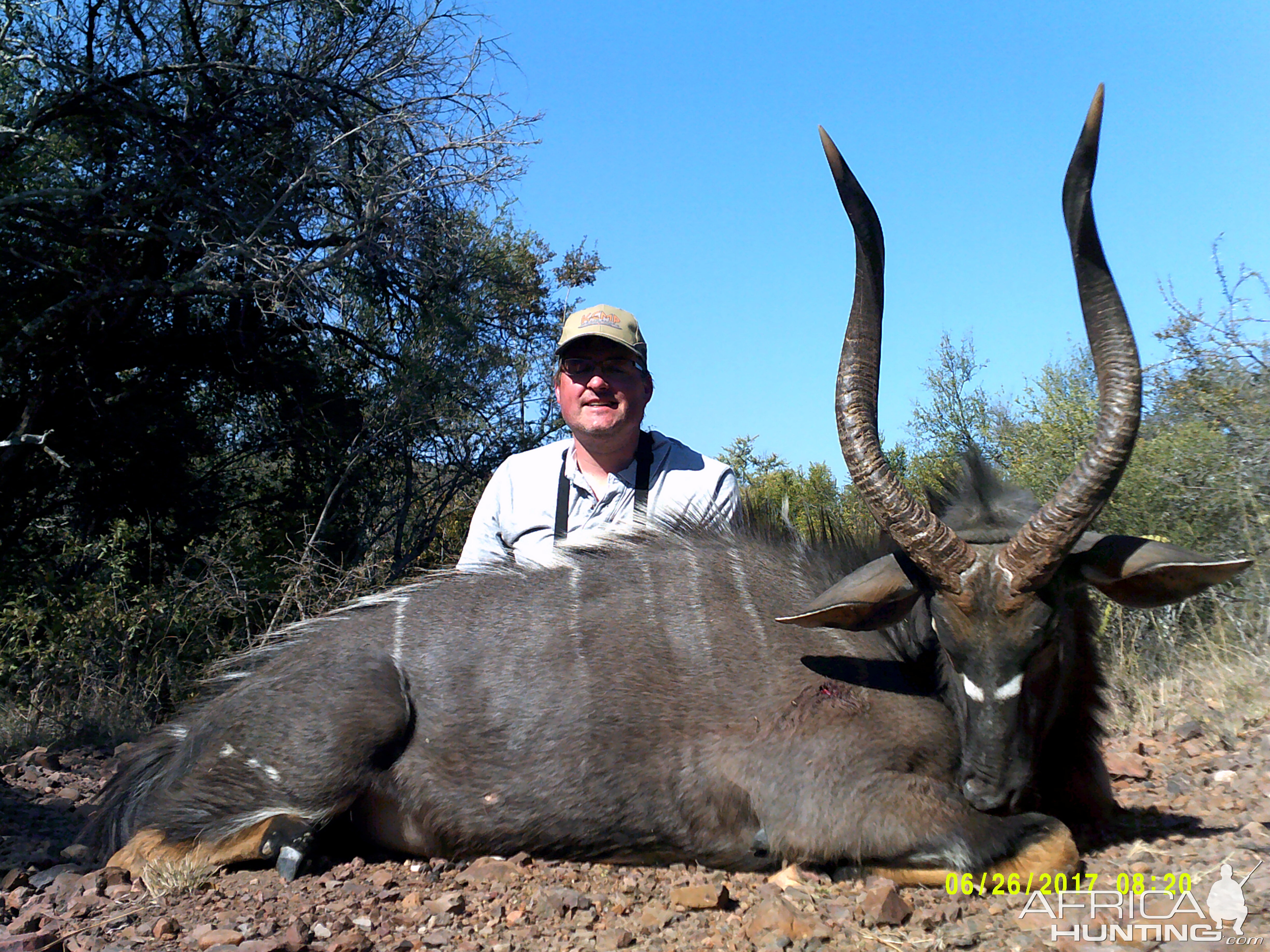 South Africa Hunting 27 3/4" & 28" inches Nyala