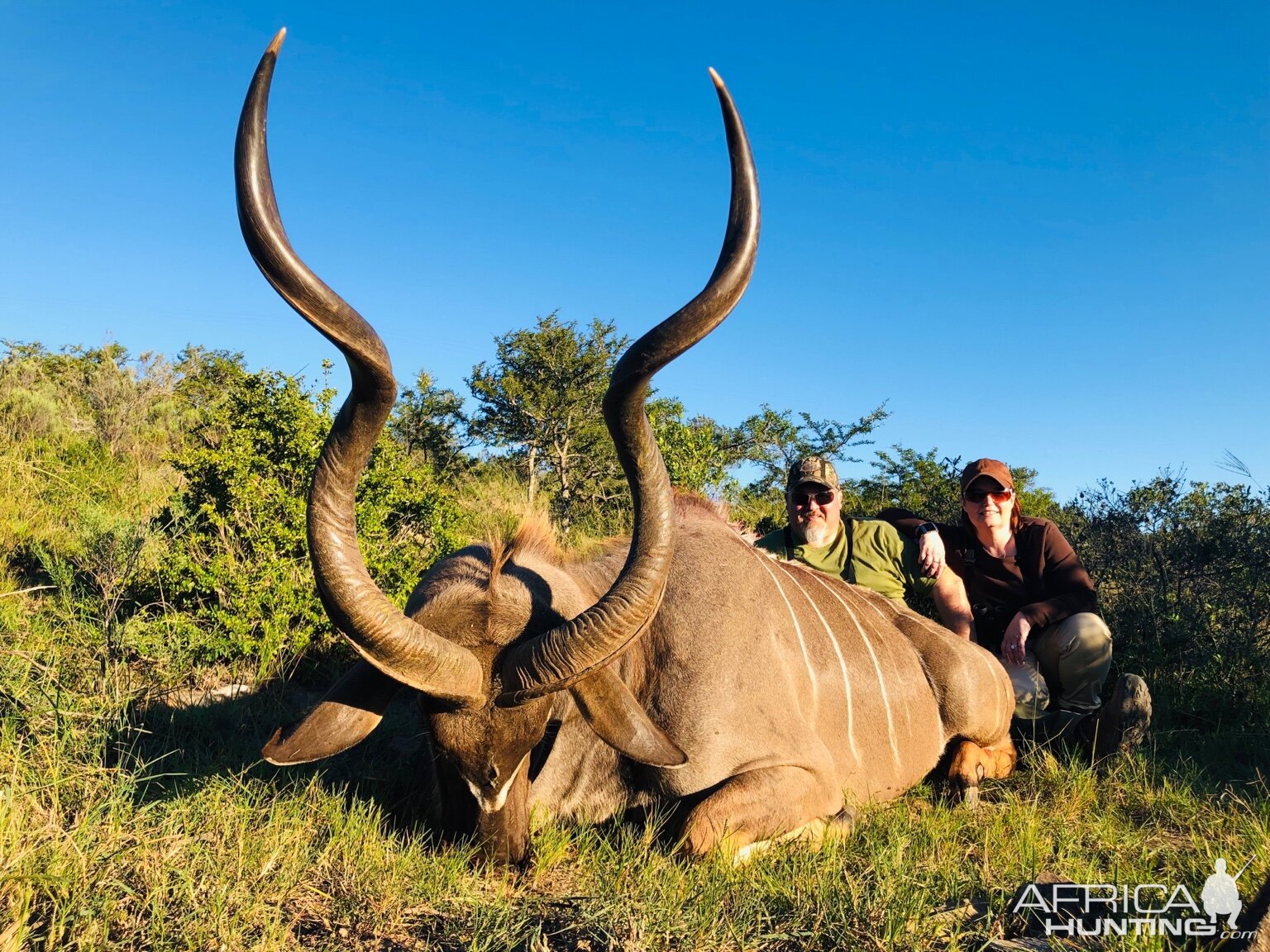 South Africa Hunting 50" Inch Kudu