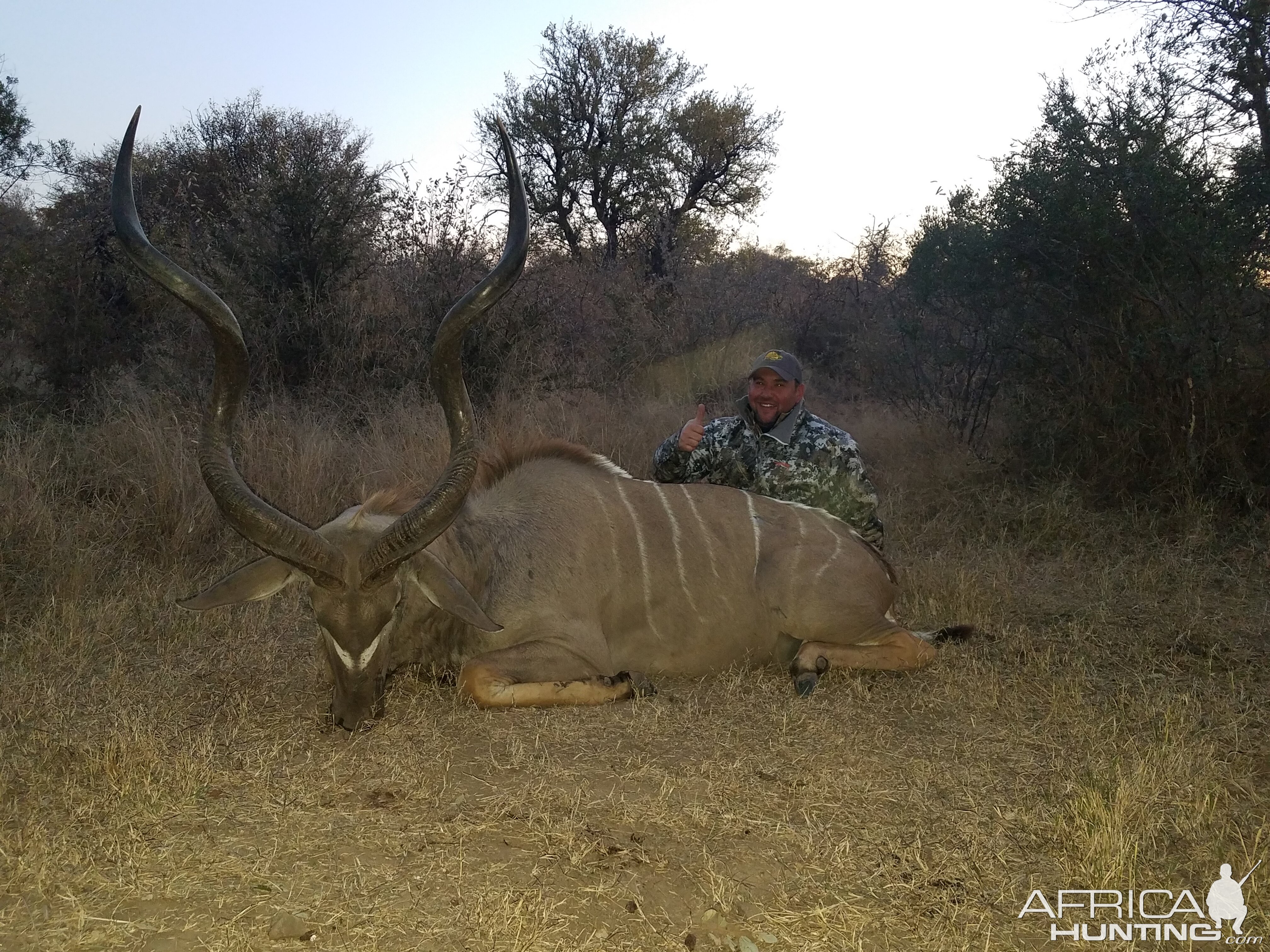 South Africa Hunting 54" Inch Kudu