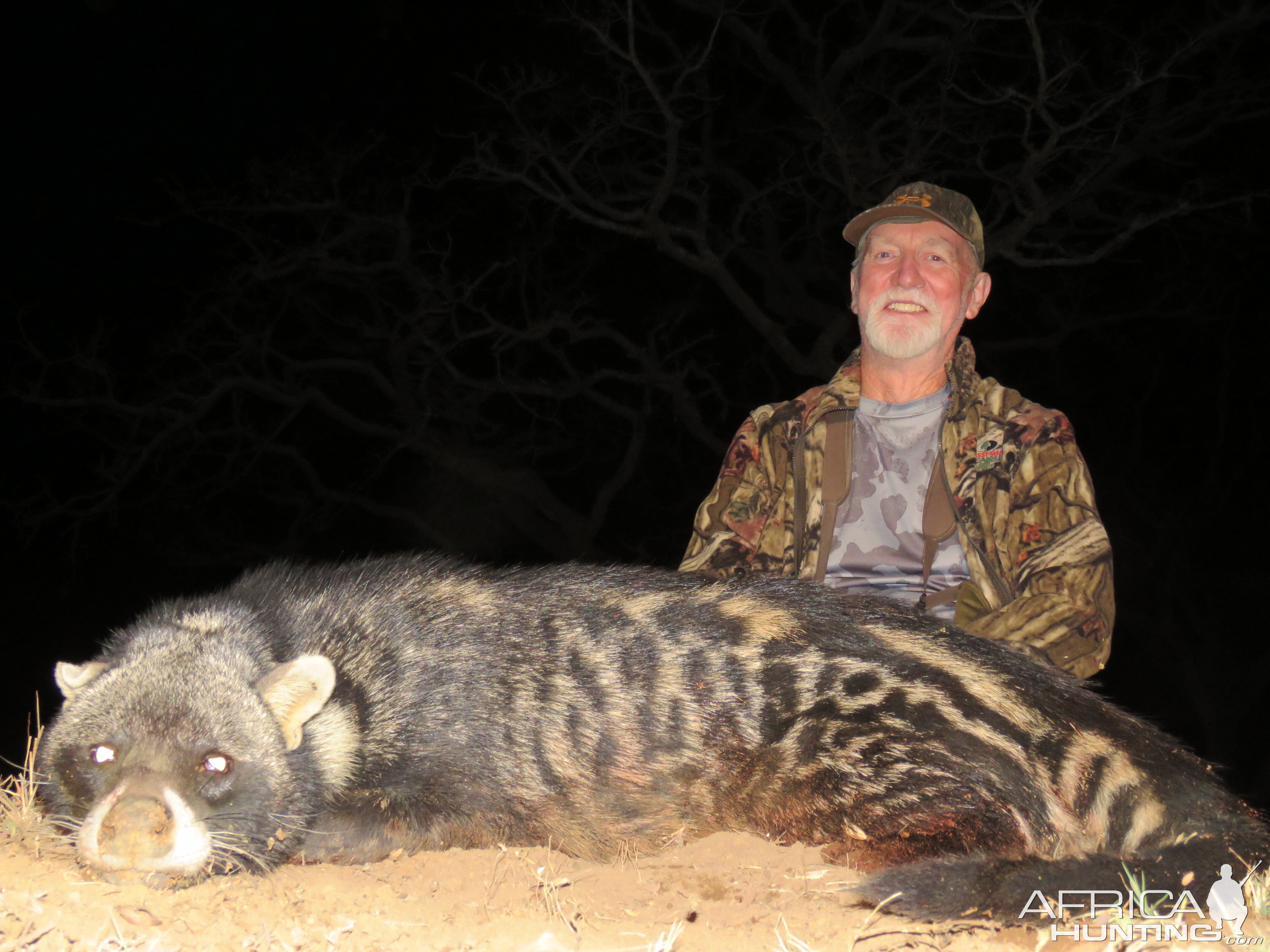 South Africa Hunting African Civet