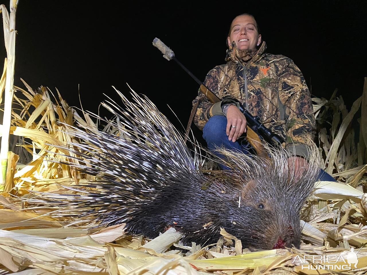 South Africa Hunting African Porcupine