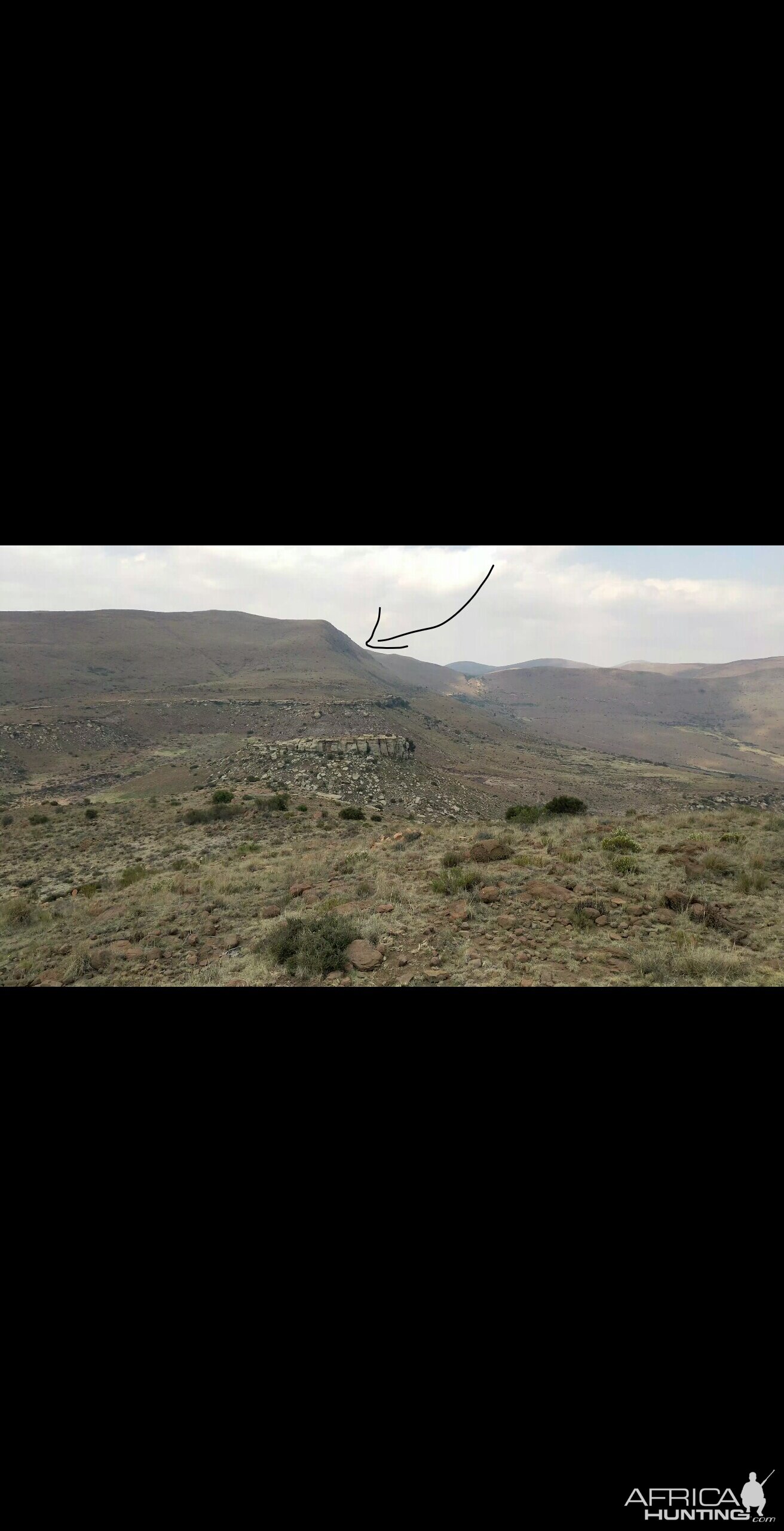 South Africa Hunting Aoudad