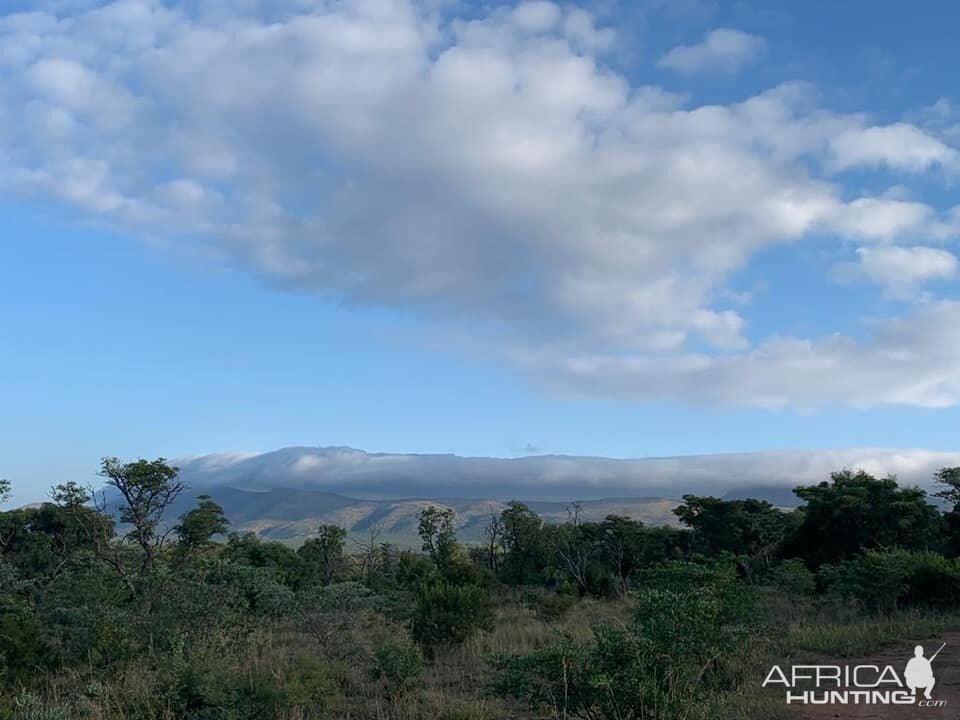 South Africa Hunting Area