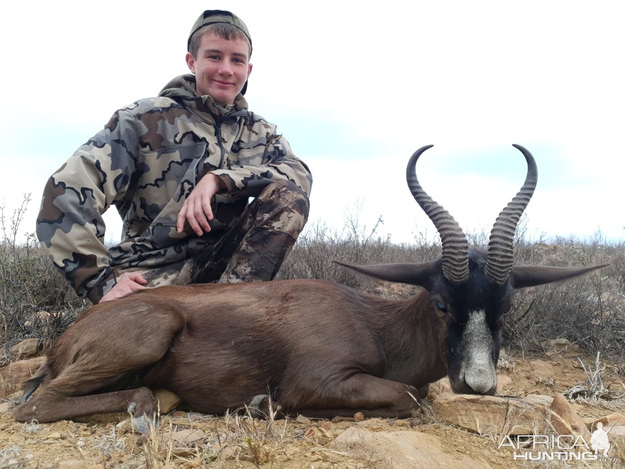 South Africa Hunting Black Springbok