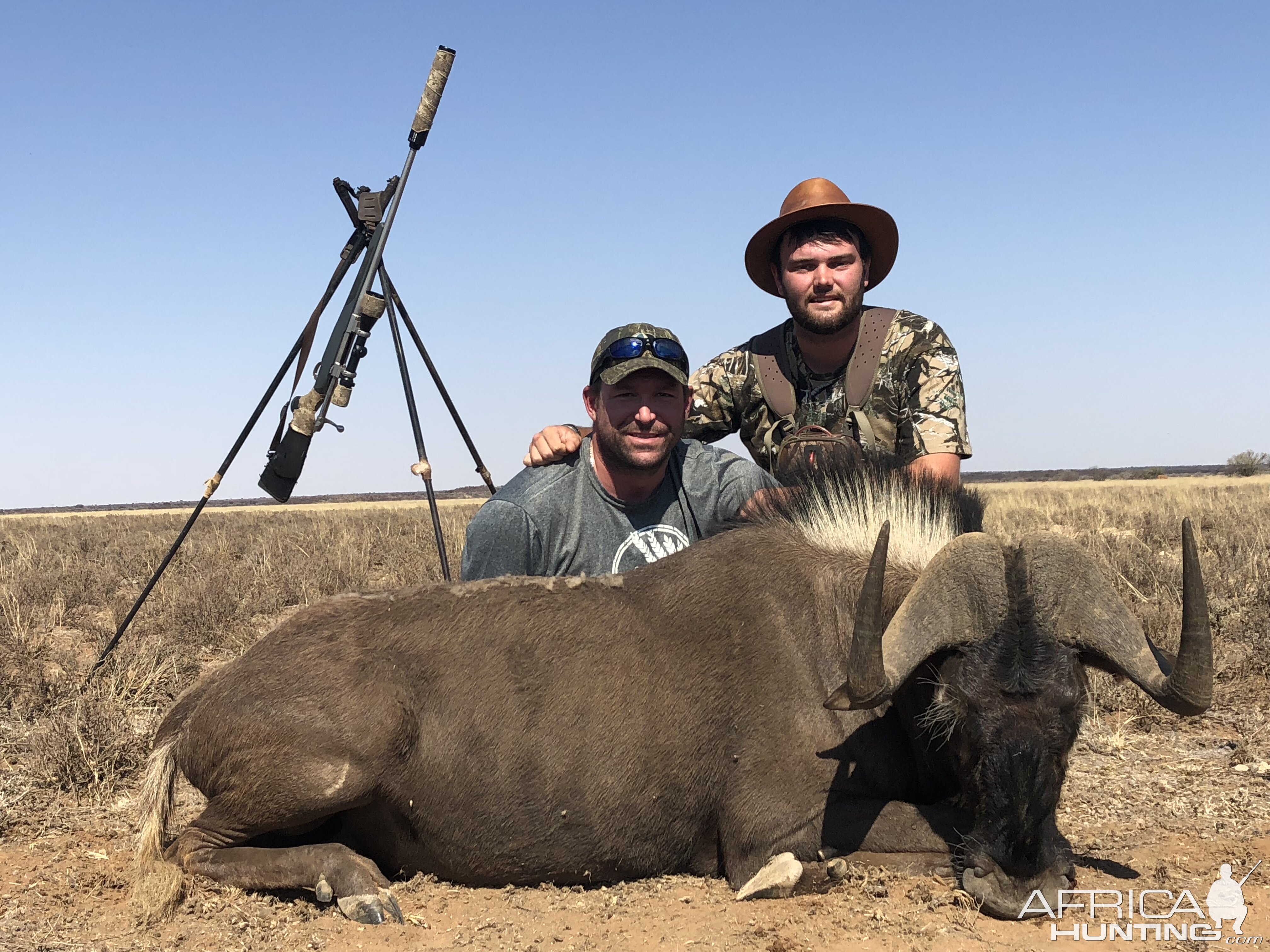 South Africa Hunting Black Wildebeest