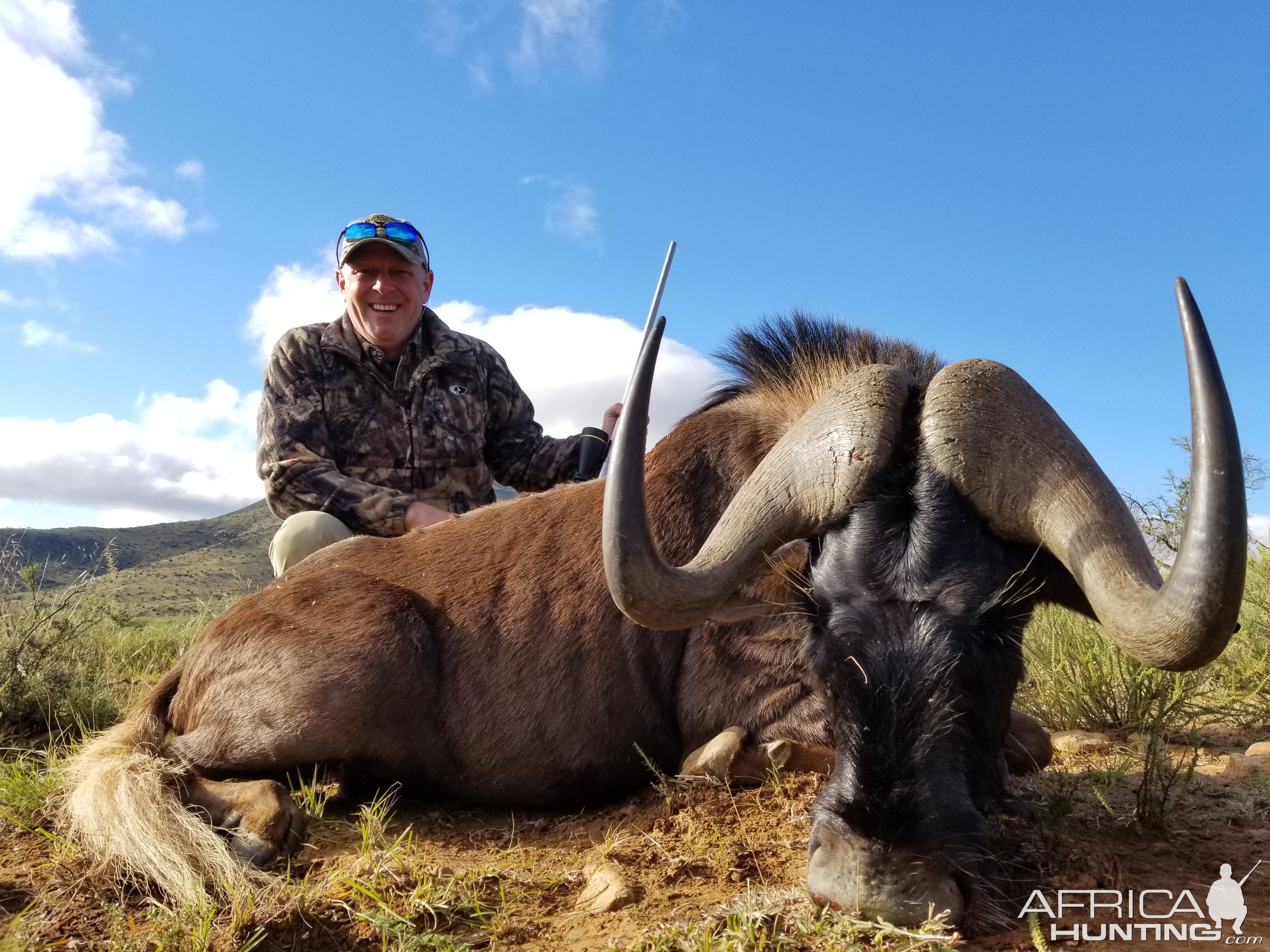 South Africa Hunting Black Wildebeest