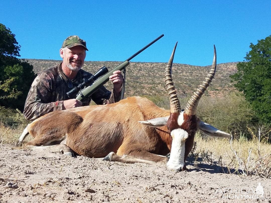 South Africa Hunting Blesbok