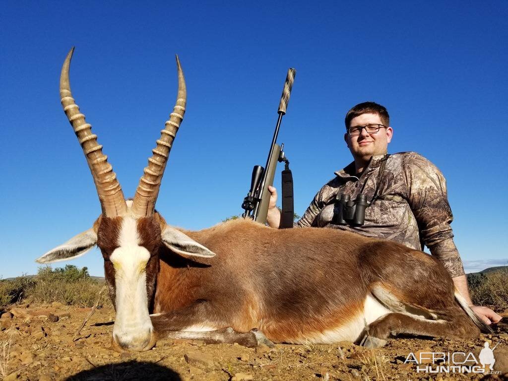 South Africa Hunting Blesbok