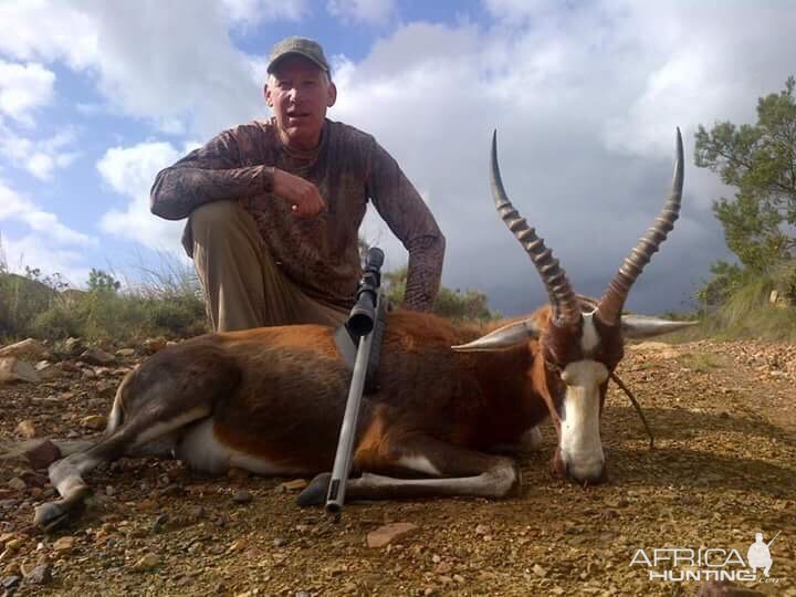 South Africa Hunting Blesbok