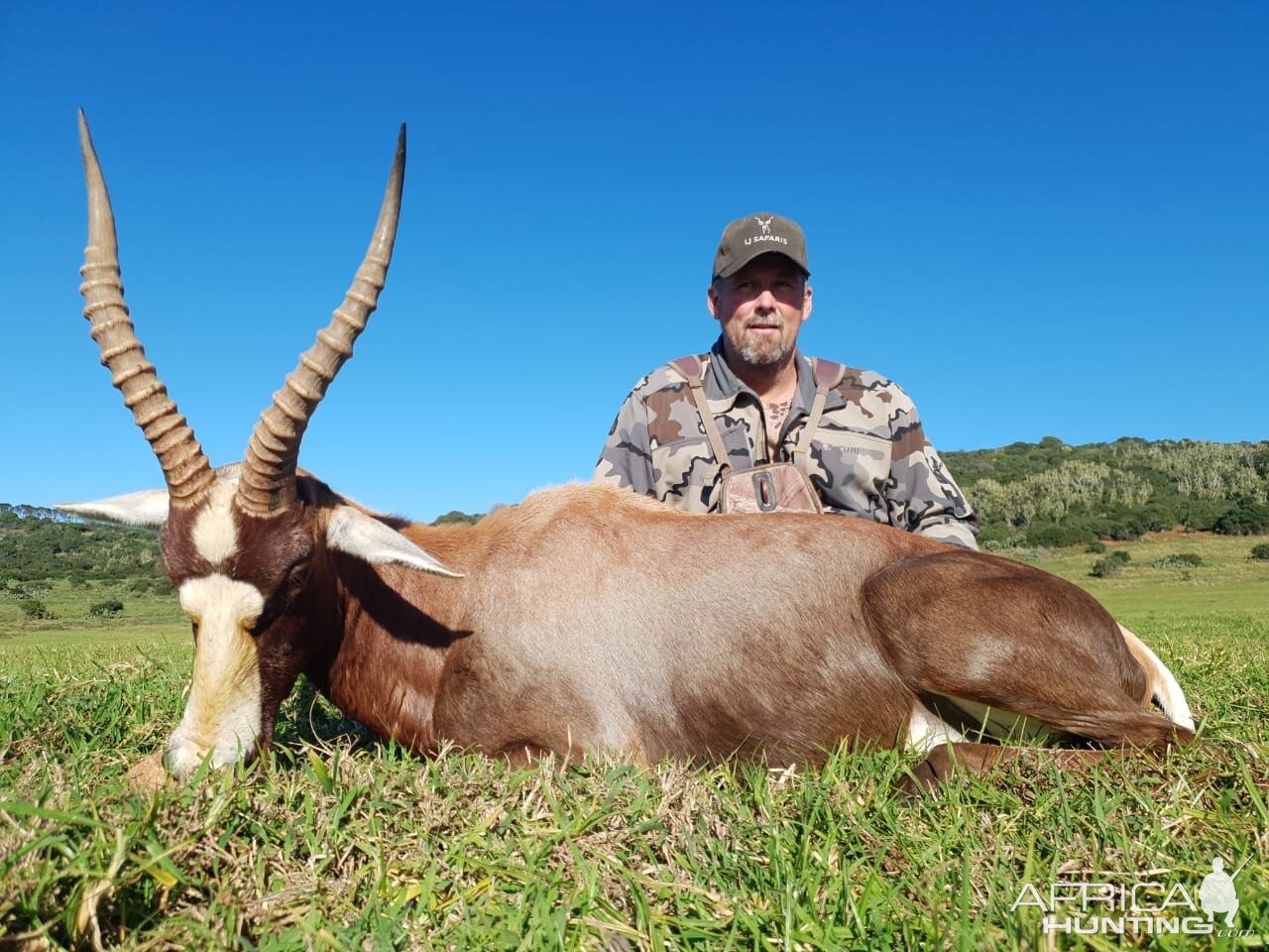 South Africa Hunting Blesbok