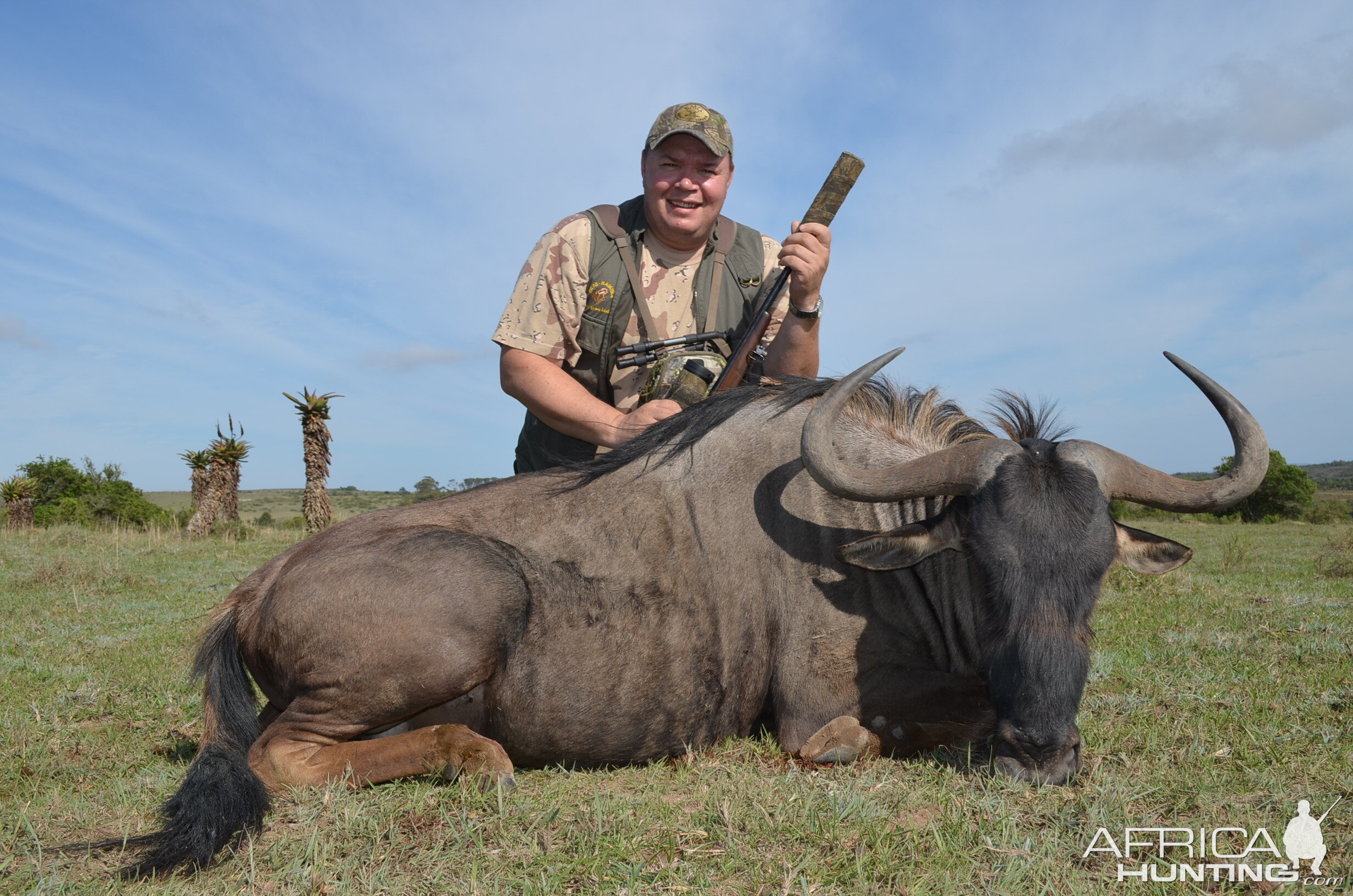 South Africa Hunting Blue Wildebeest