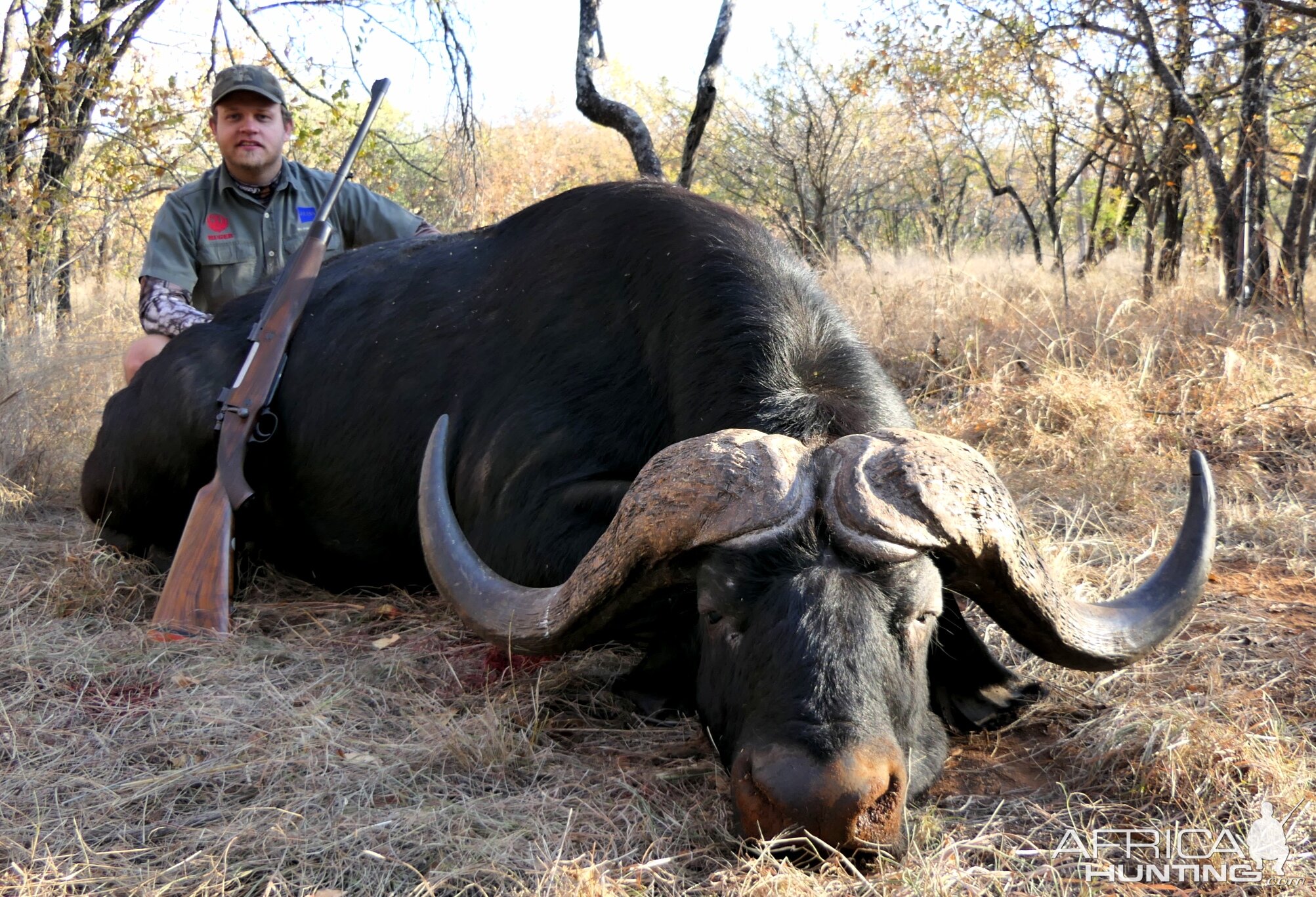 South Africa Hunting Buffalo