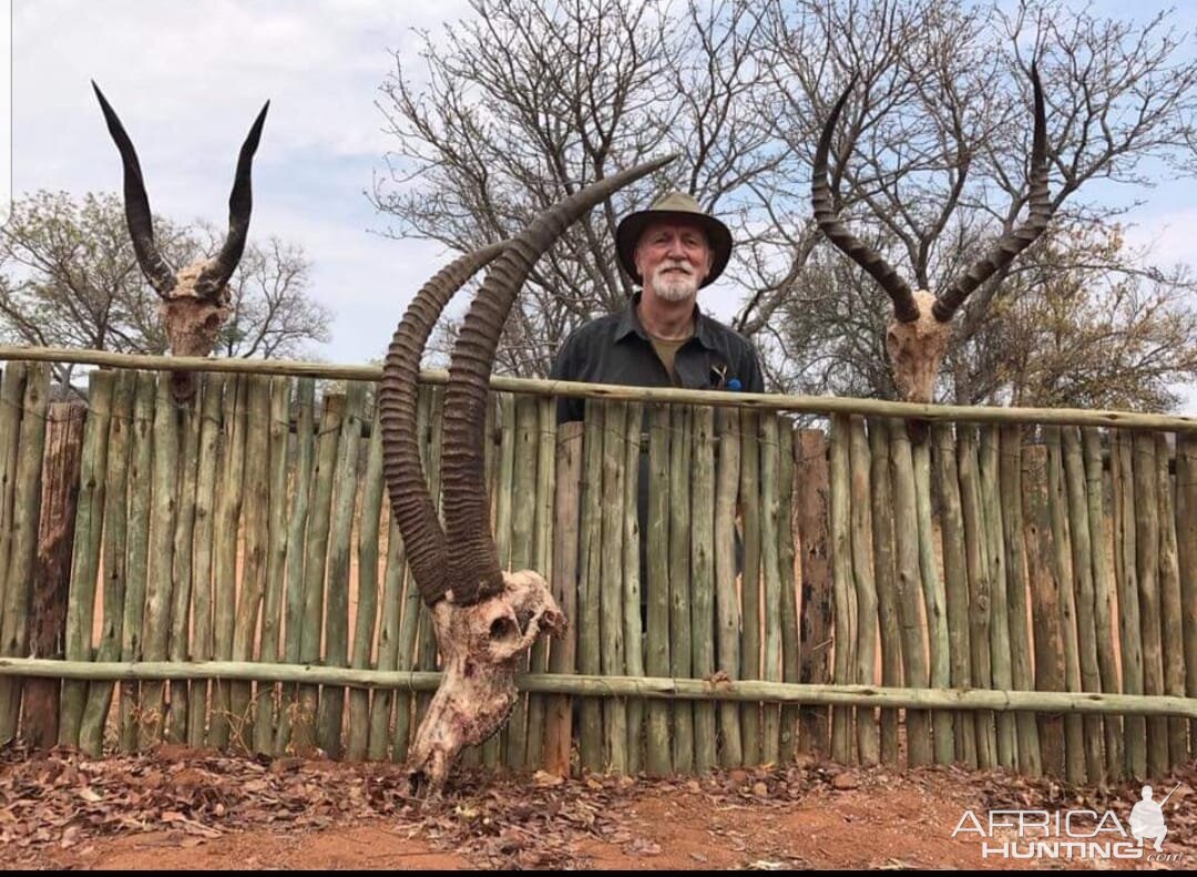 South Africa Hunting Bushbuck, Sable & Impala