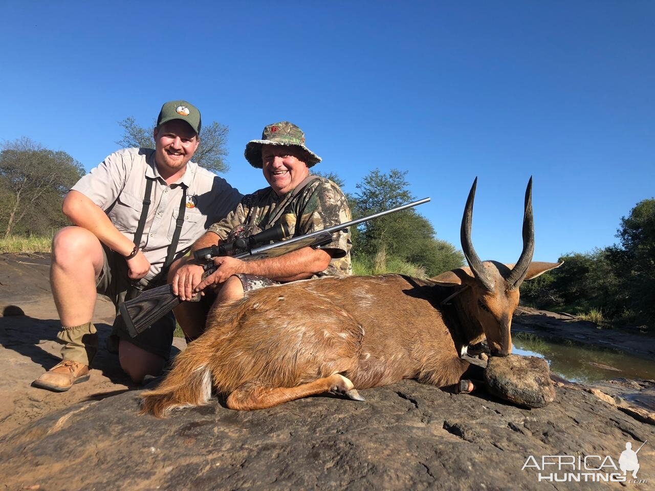 South Africa Hunting Bushbuck